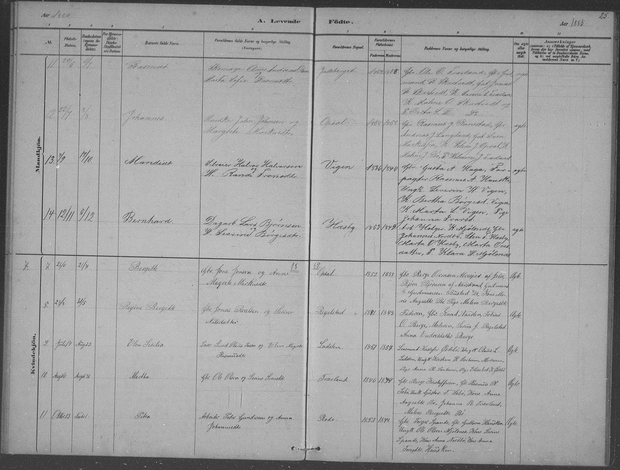 Finnøy sokneprestkontor, AV/SAST-A-101825/H/Ha/Hab/L0003: Parish register (copy) no. B 3, 1879-1899, p. 25