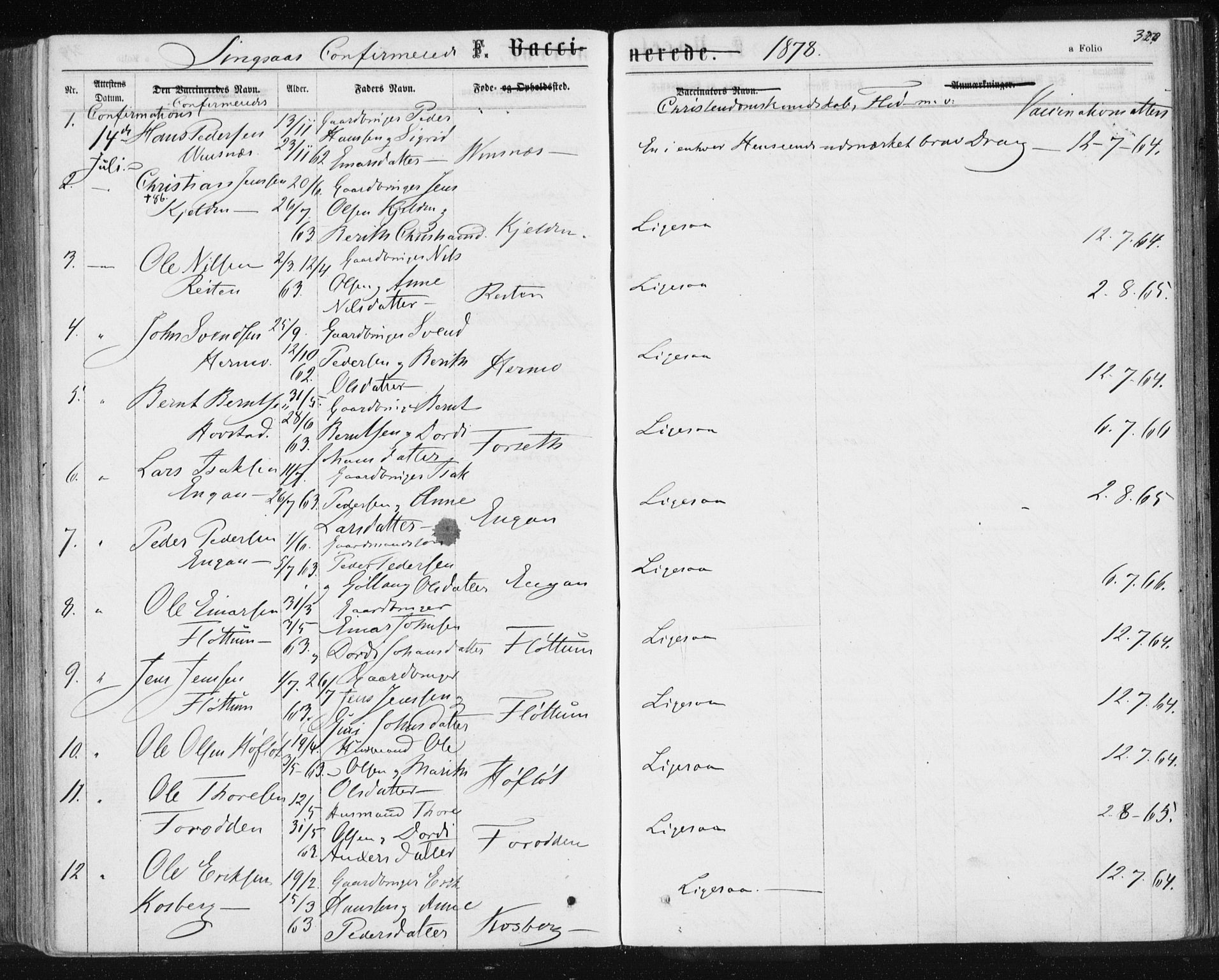 Ministerialprotokoller, klokkerbøker og fødselsregistre - Sør-Trøndelag, SAT/A-1456/685/L0970: Parish register (official) no. 685A08 /2, 1870-1878, p. 320