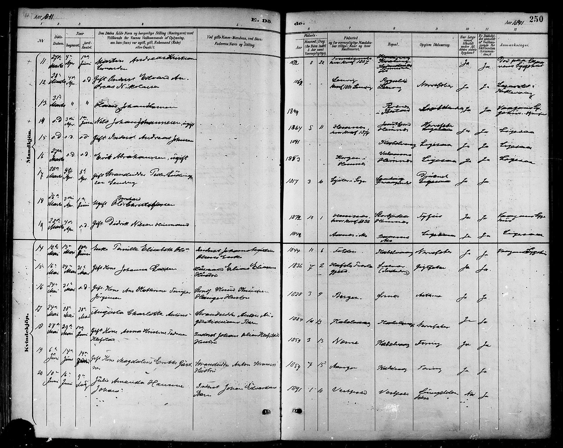 Ministerialprotokoller, klokkerbøker og fødselsregistre - Nordland, AV/SAT-A-1459/874/L1060: Parish register (official) no. 874A04, 1890-1899, p. 250