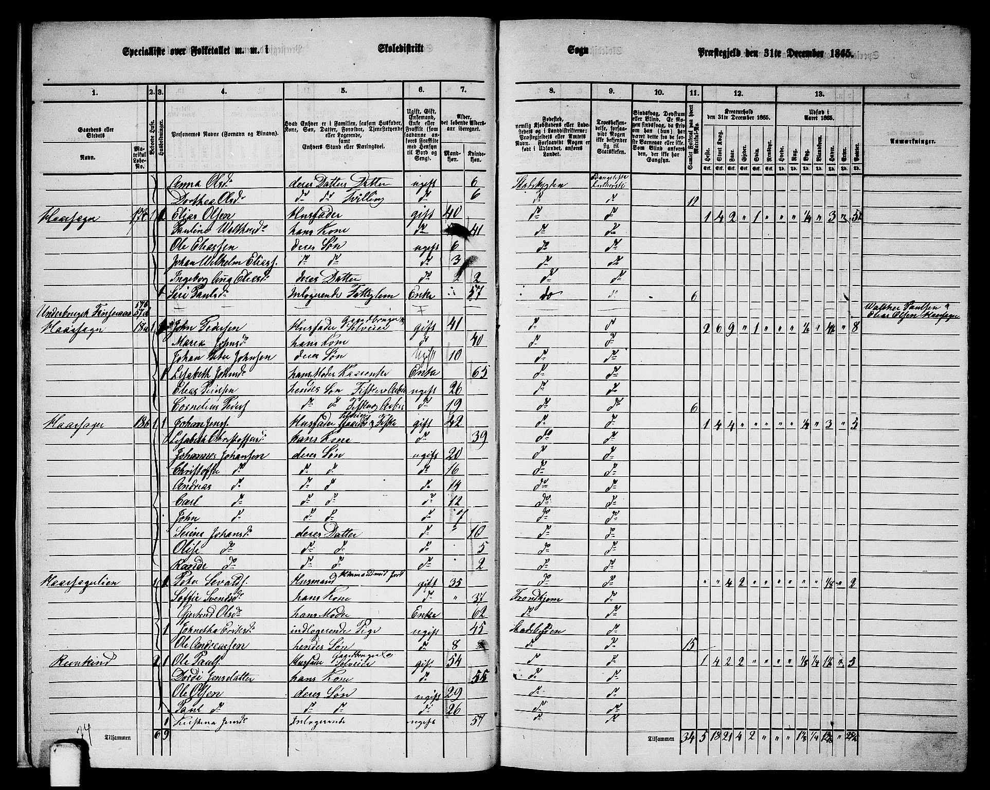 RA, 1865 census for Stadsbygd, 1865, p. 16