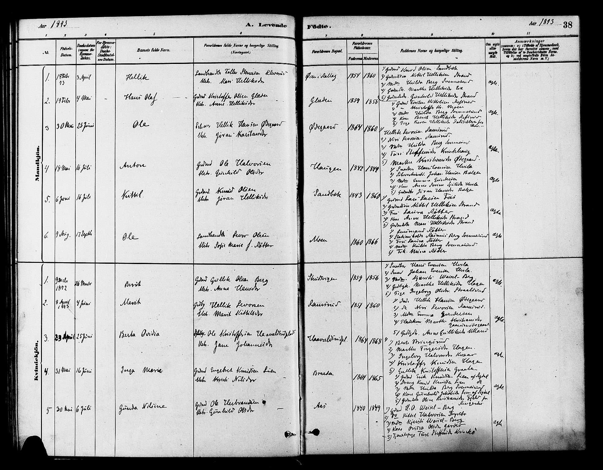 Flesberg kirkebøker, AV/SAKO-A-18/F/Fb/L0001: Parish register (official) no. II 1, 1879-1907, p. 38