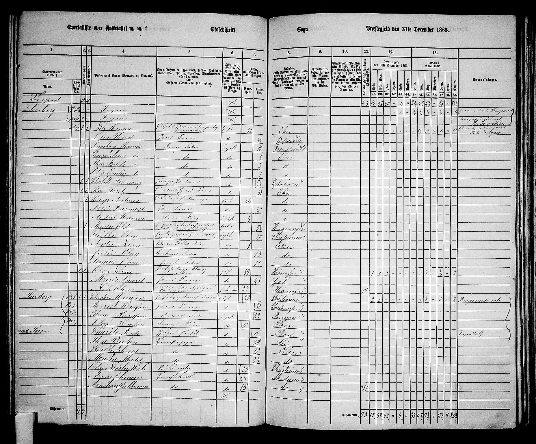 RA, 1865 census for Eiker, 1865, p. 155