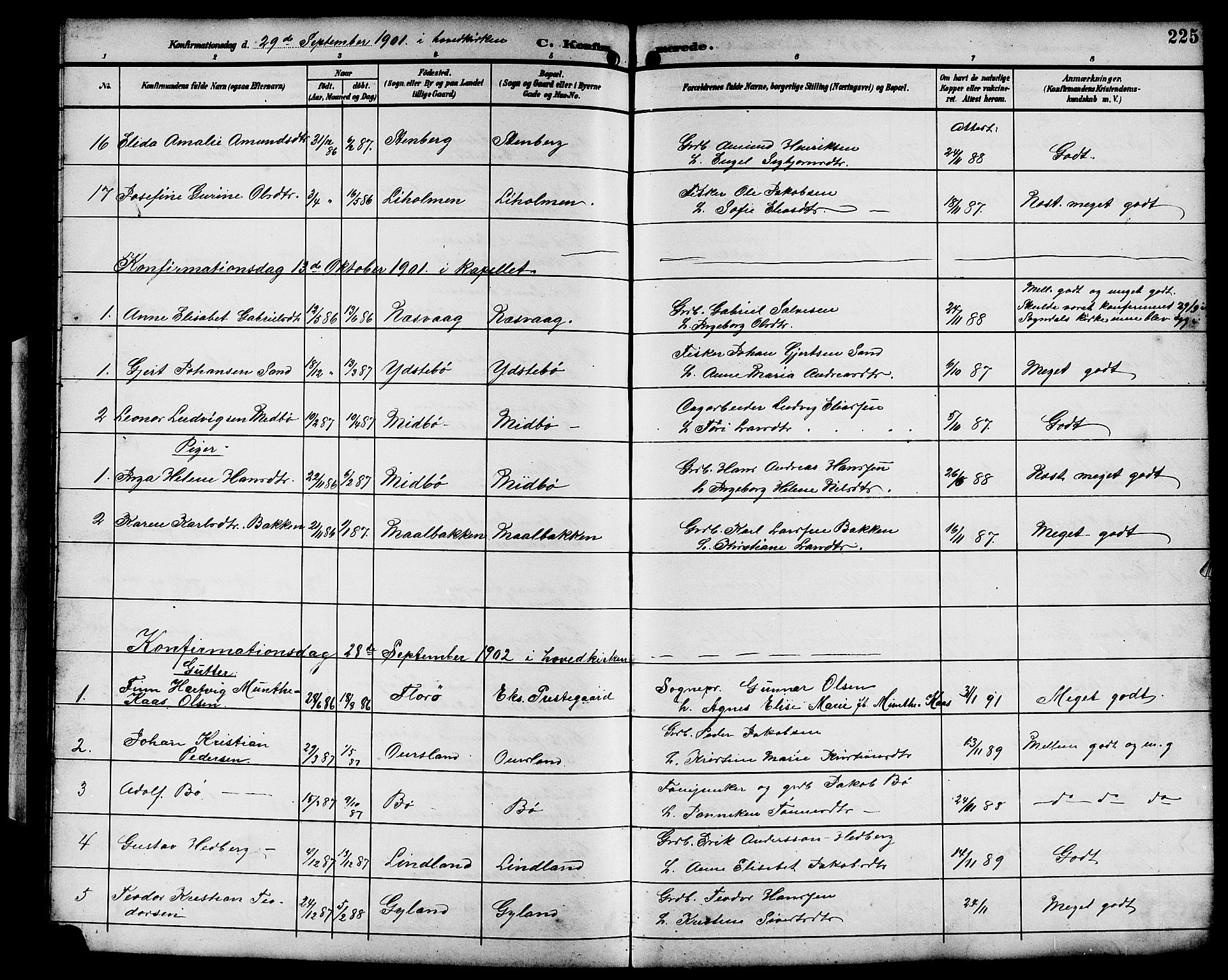 Sokndal sokneprestkontor, SAST/A-101808: Parish register (copy) no. B 6, 1892-1907, p. 225