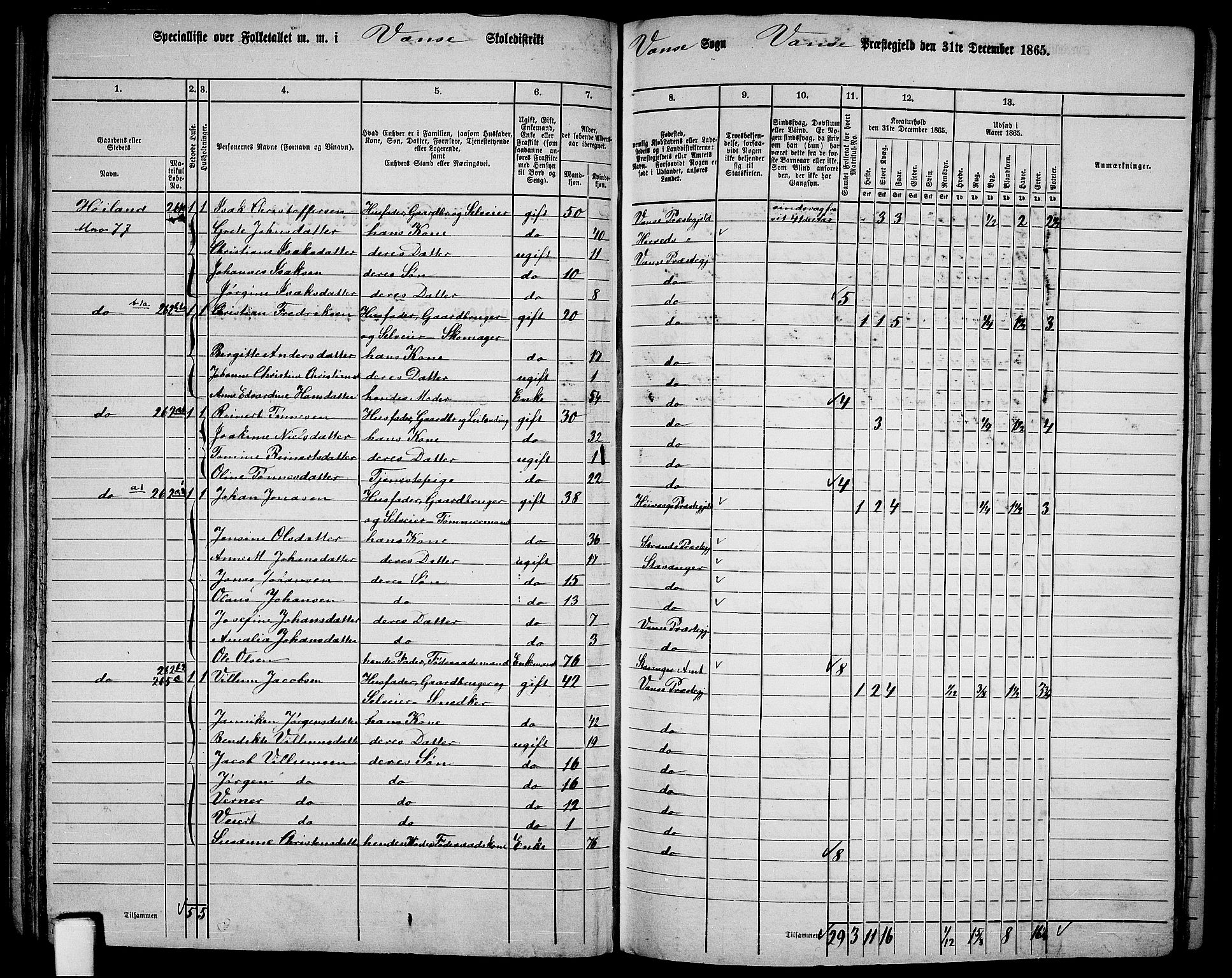 RA, 1865 census for Vanse/Vanse og Farsund, 1865, p. 78