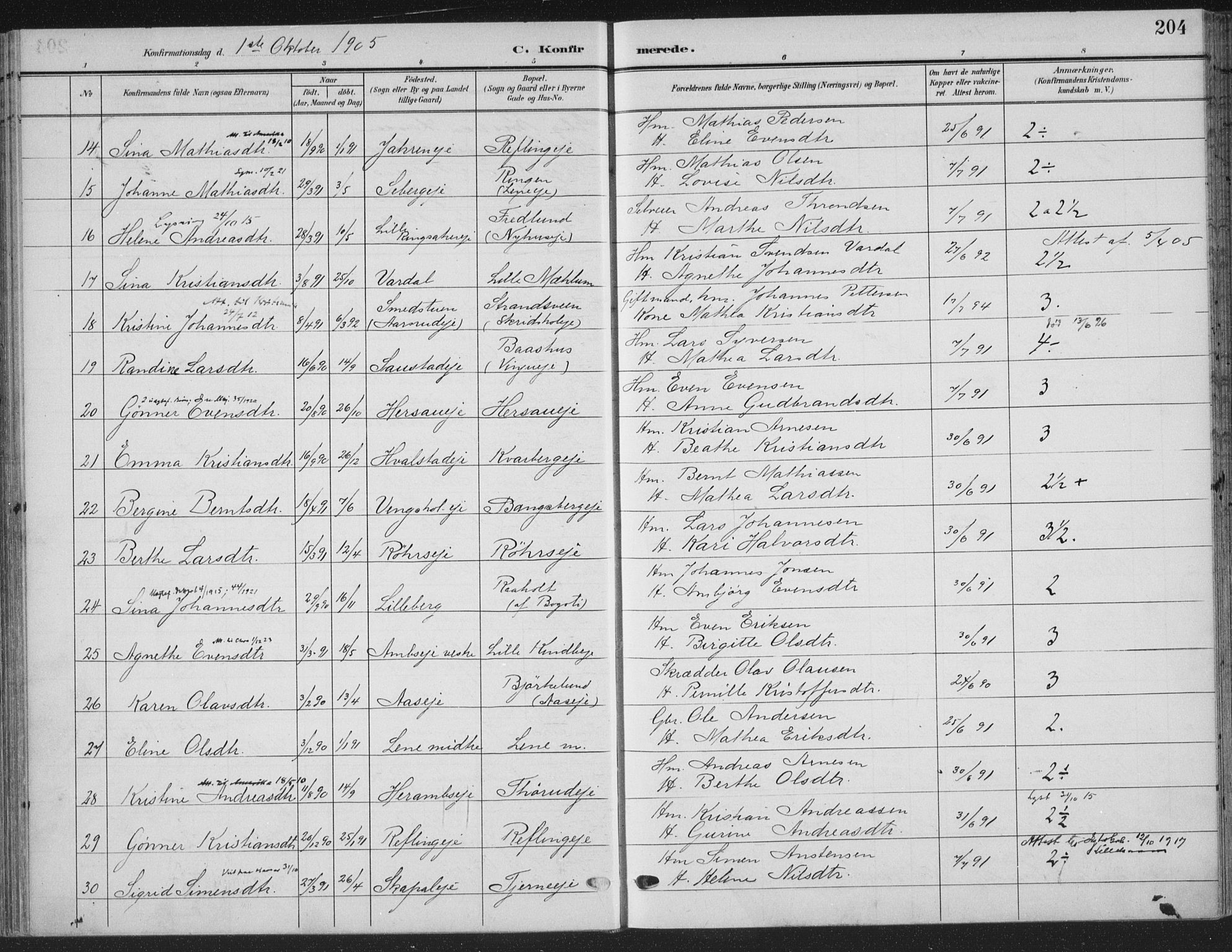 Ringsaker prestekontor, SAH/PREST-014/K/Ka/L0018: Parish register (official) no. 18, 1903-1912, p. 204