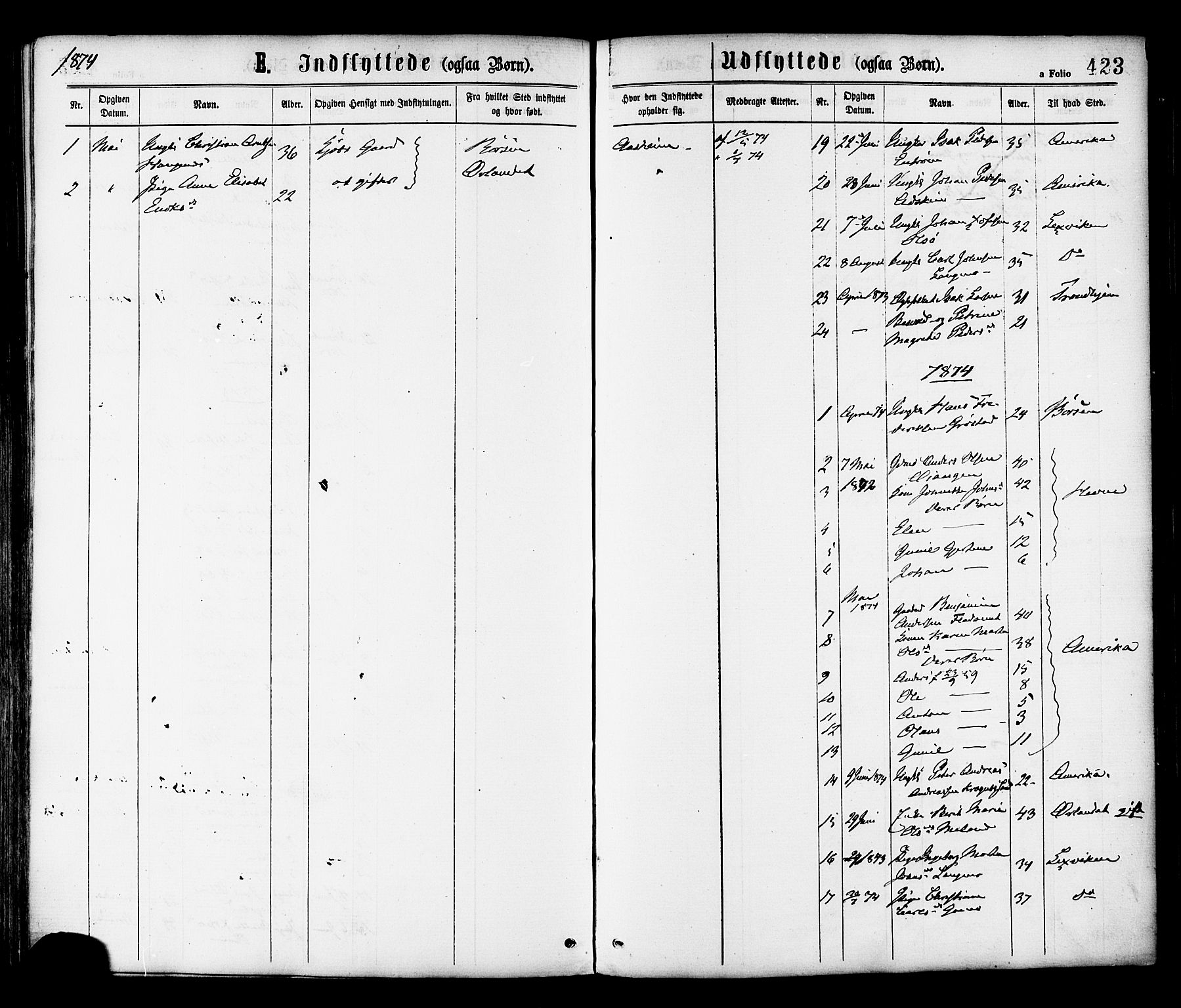 Ministerialprotokoller, klokkerbøker og fødselsregistre - Sør-Trøndelag, SAT/A-1456/646/L0613: Parish register (official) no. 646A11, 1870-1884, p. 423