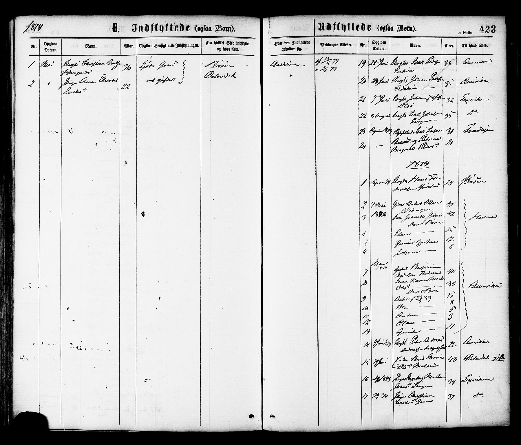 Ministerialprotokoller, klokkerbøker og fødselsregistre - Sør-Trøndelag, AV/SAT-A-1456/646/L0613: Parish register (official) no. 646A11, 1870-1884, p. 423