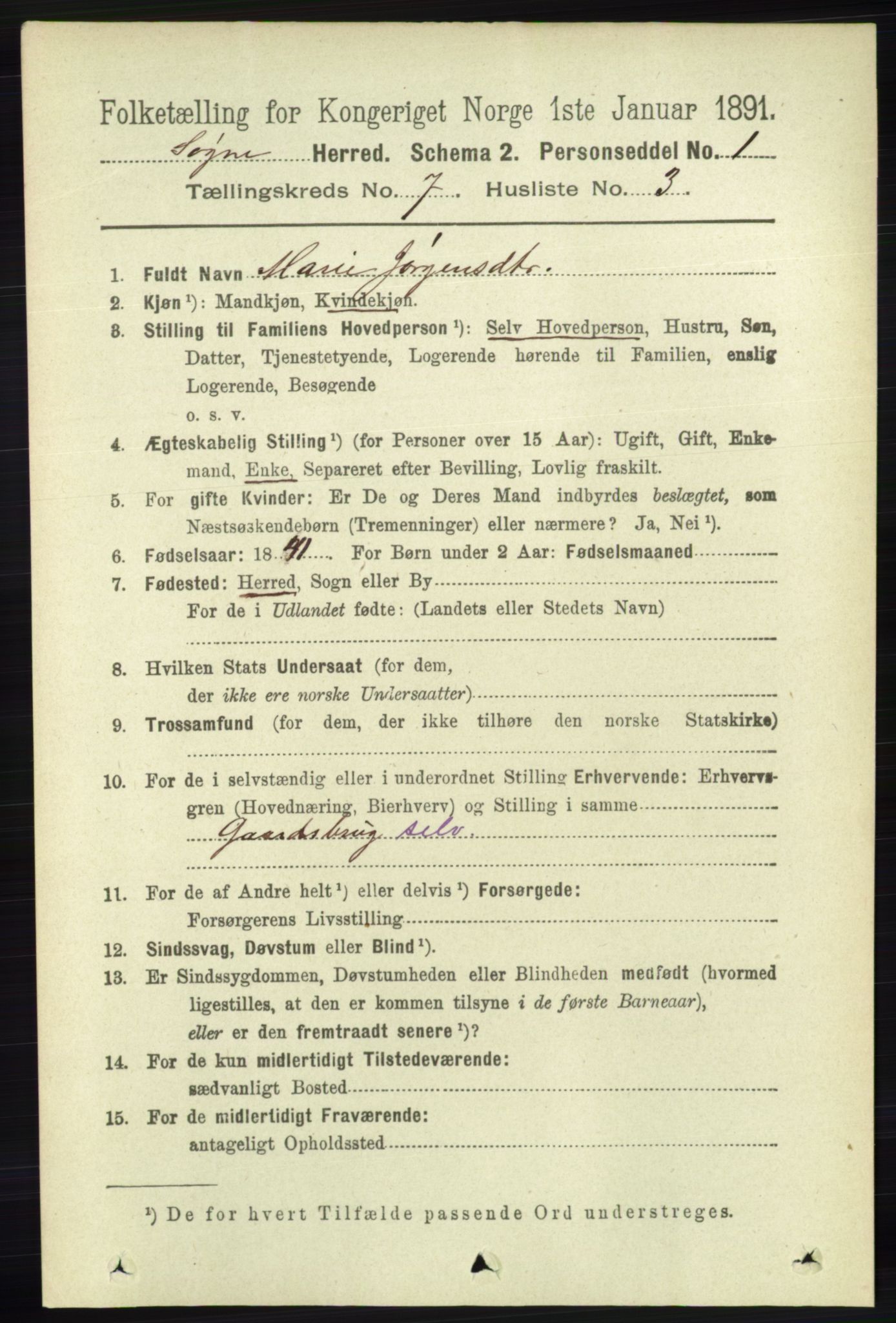 RA, 1891 census for 1018 Søgne, 1891, p. 1551