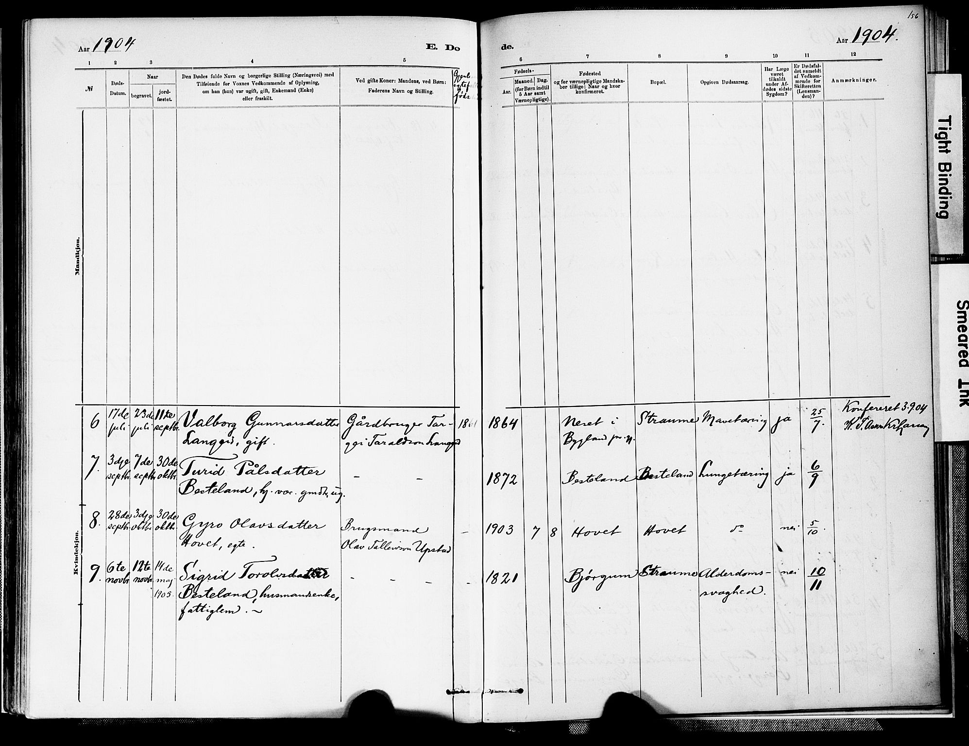 Valle sokneprestkontor, AV/SAK-1111-0044/F/Fa/Fab/L0001: Parish register (official) no. A 1, 1882-1910, p. 156