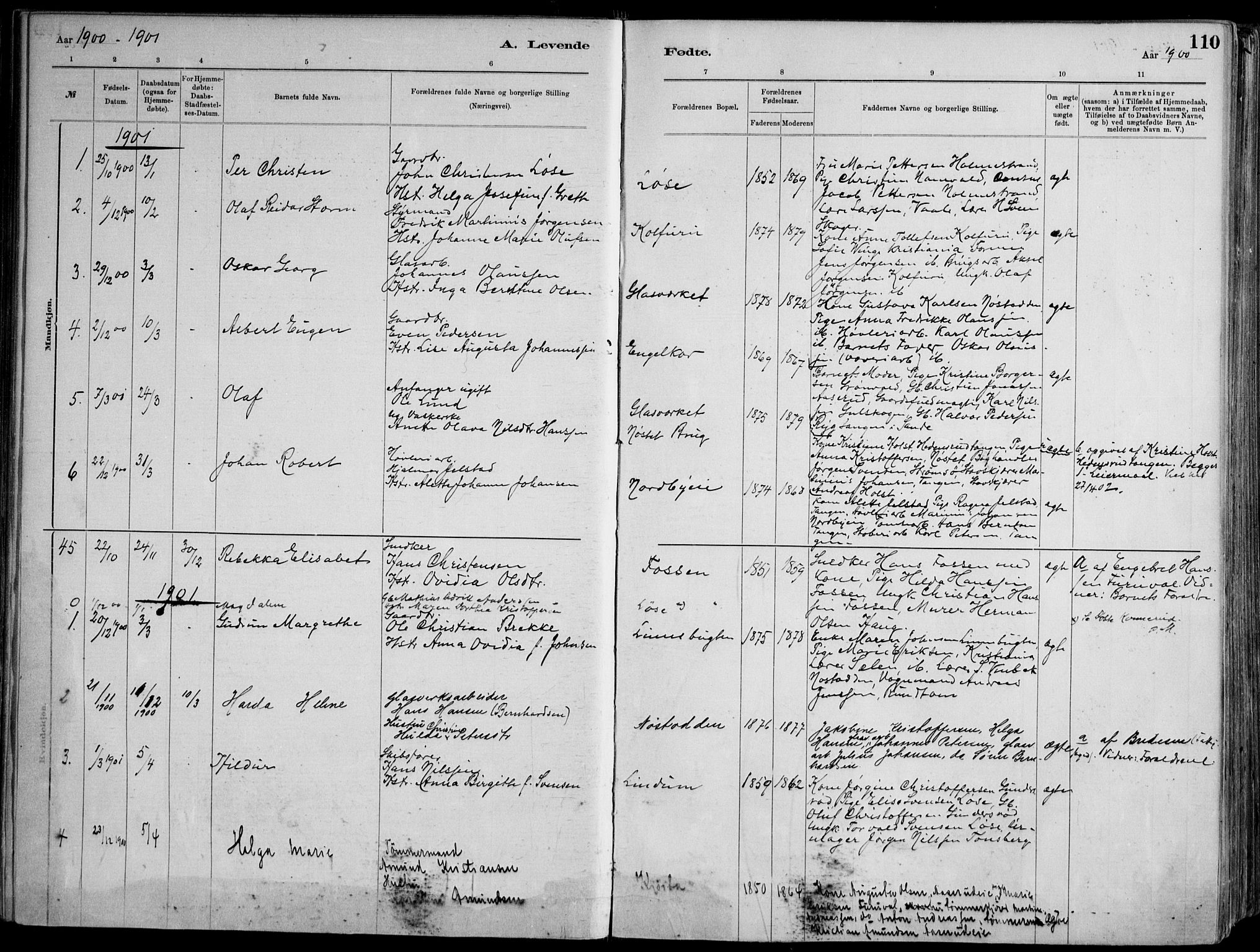 Skoger kirkebøker, AV/SAKO-A-59/F/Fa/L0006: Parish register (official) no. I 6, 1885-1910, p. 110