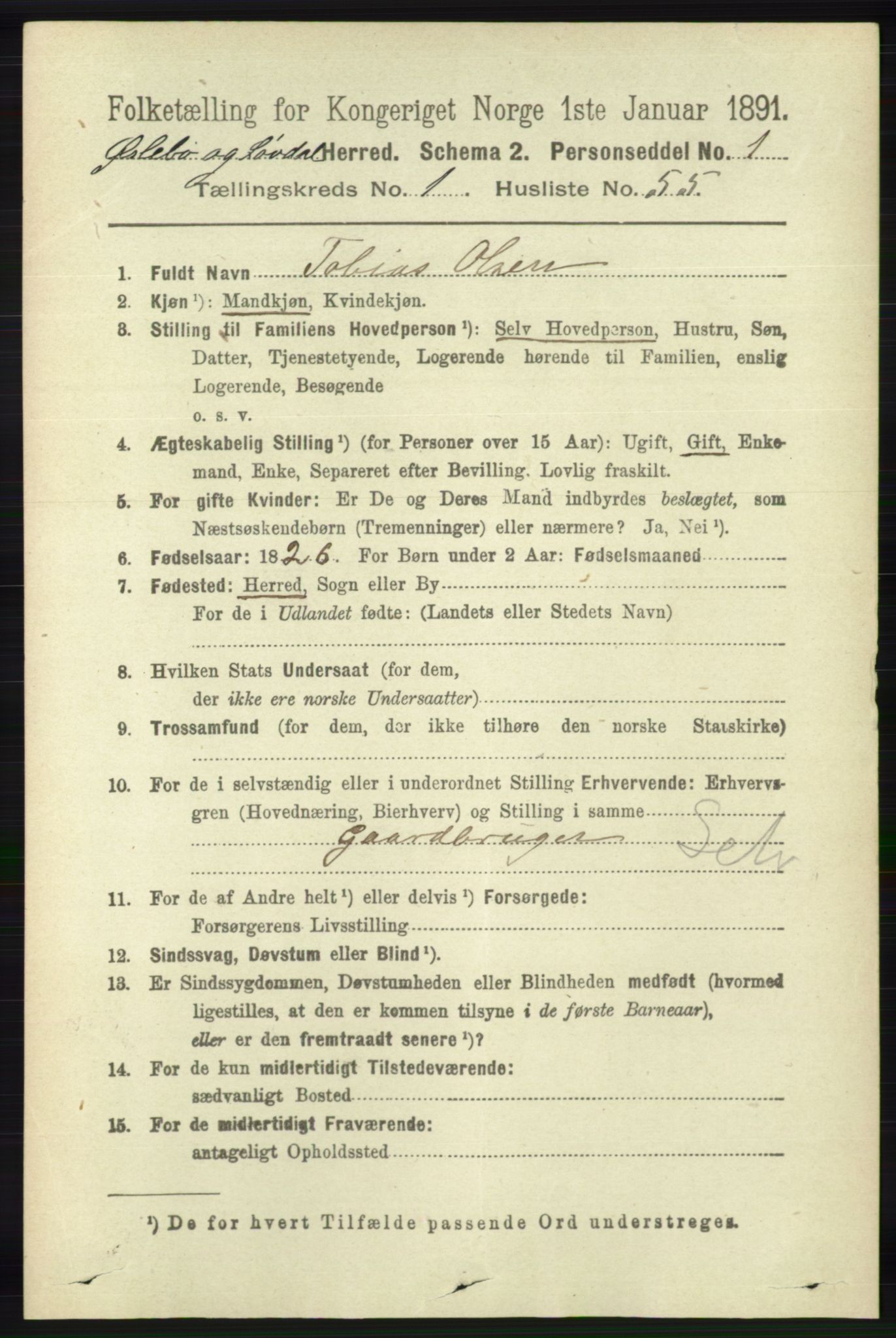 RA, 1891 census for 1021 Øyslebø og Laudal, 1891, p. 425