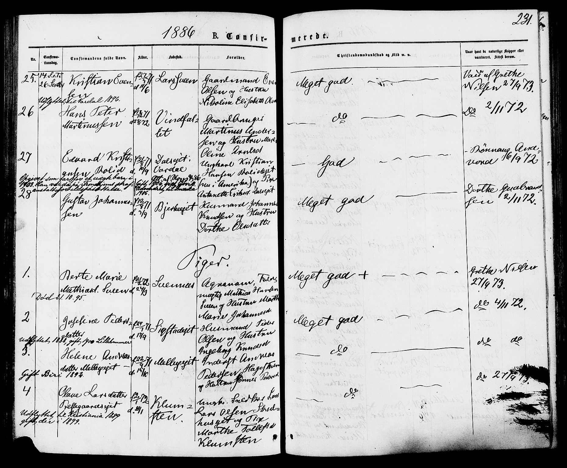 Biri prestekontor, AV/SAH-PREST-096/H/Ha/Haa/L0006: Parish register (official) no. 6, 1877-1886, p. 231