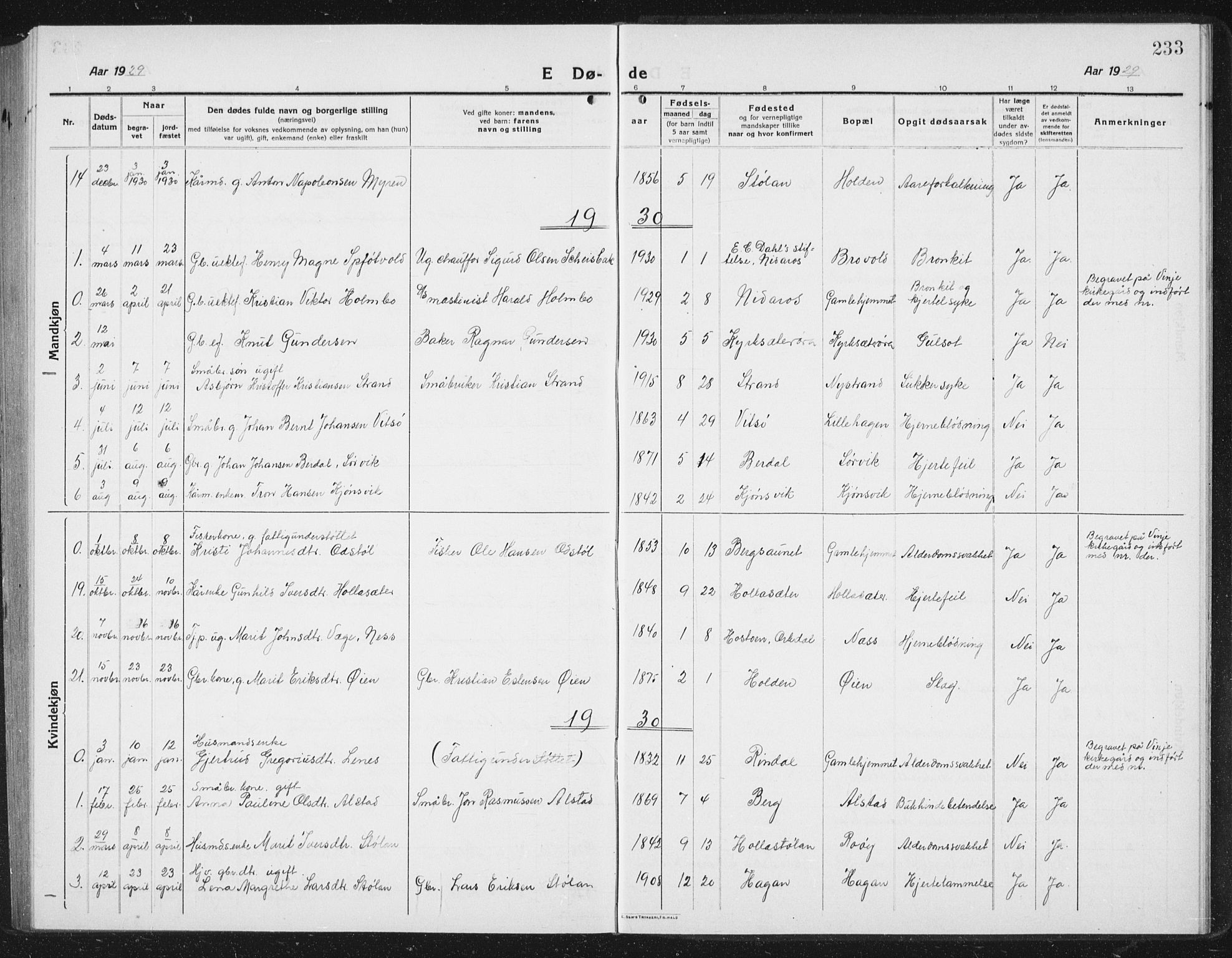 Ministerialprotokoller, klokkerbøker og fødselsregistre - Sør-Trøndelag, SAT/A-1456/630/L0506: Parish register (copy) no. 630C04, 1914-1933, p. 233