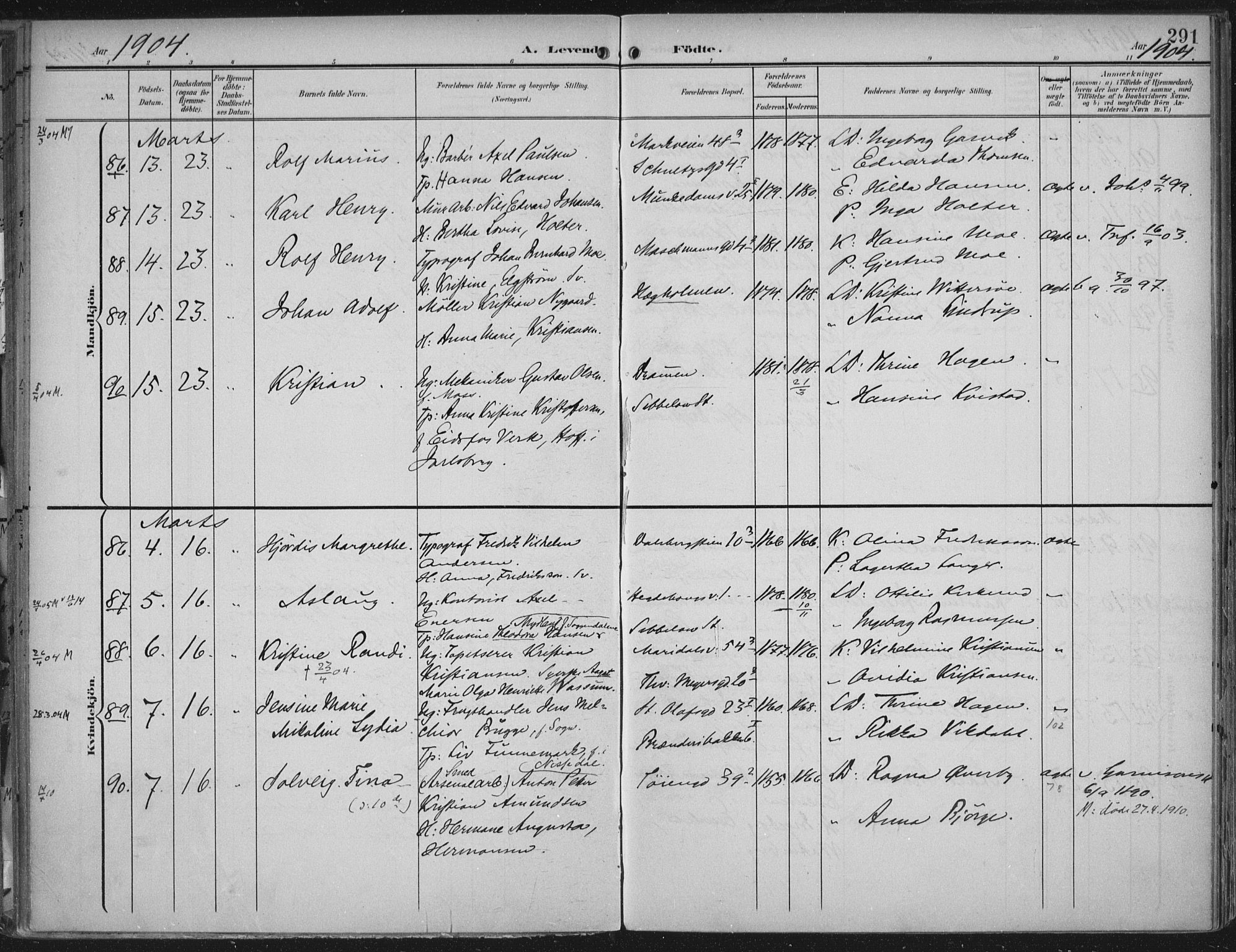 Rikshospitalet prestekontor Kirkebøker, SAO/A-10309b/F/L0012: Parish register (official) no. 12, 1901-1904, p. 291