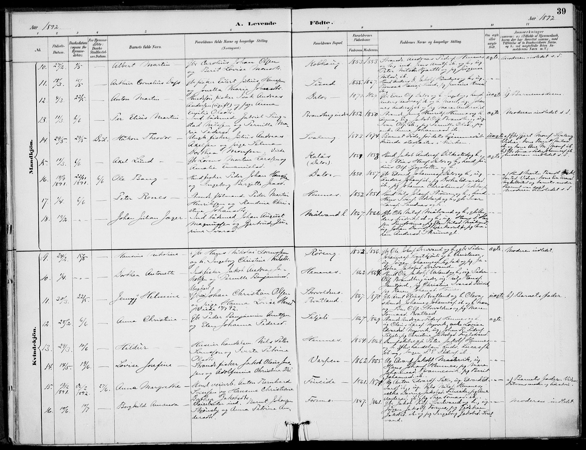 Ministerialprotokoller, klokkerbøker og fødselsregistre - Nordland, AV/SAT-A-1459/825/L0362: Parish register (official) no. 825A16, 1886-1908, p. 39