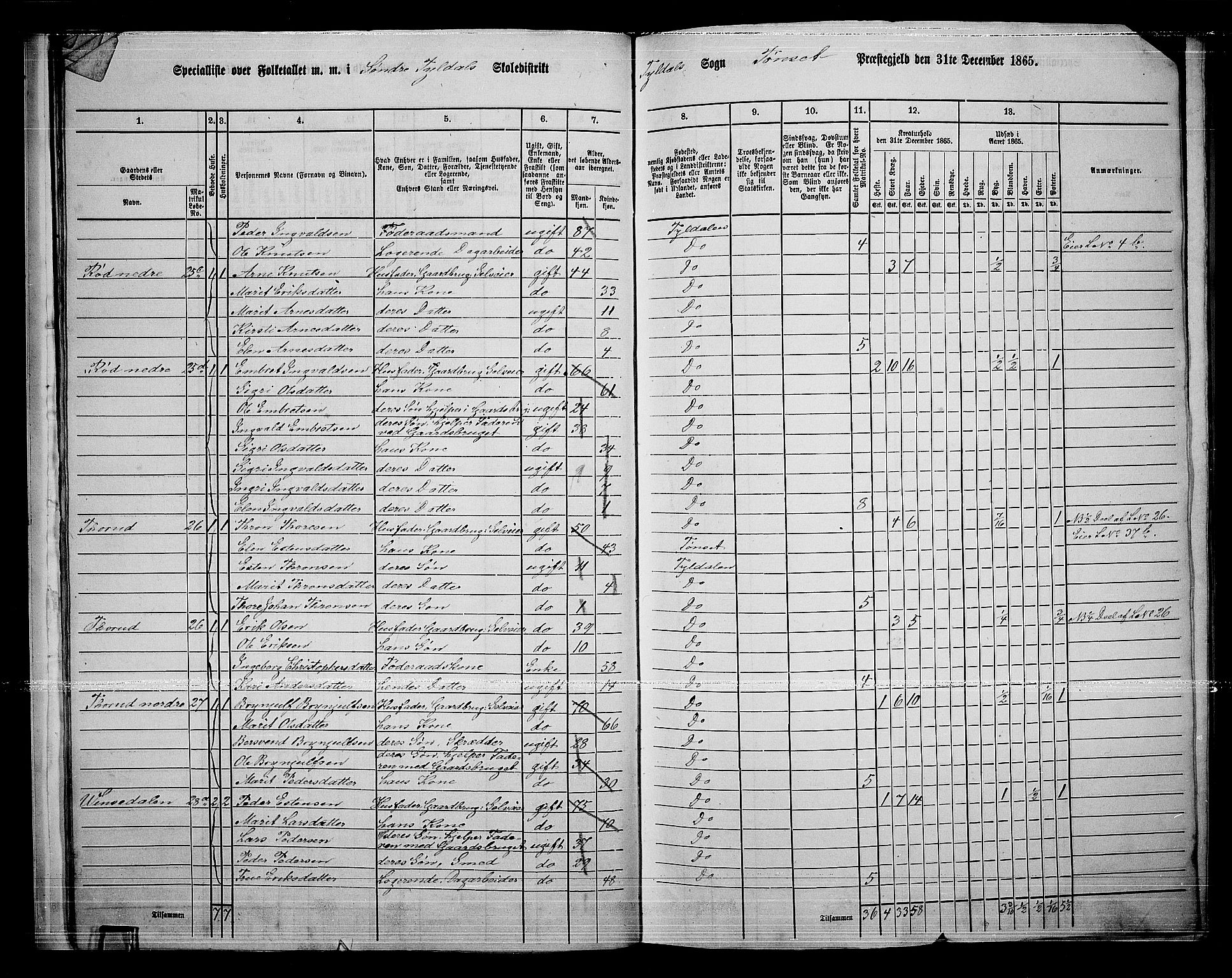 RA, 1865 census for Tynset, 1865, p. 22