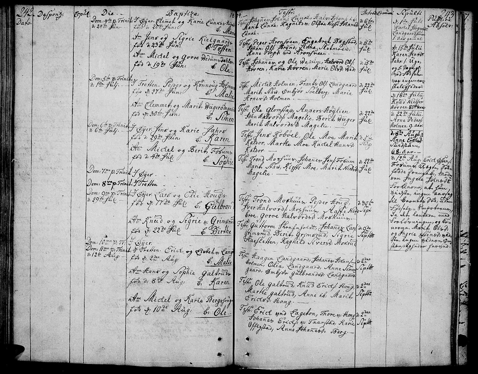 Øyer prestekontor, SAH/PREST-084/H/Ha/Haa/L0003: Parish register (official) no. 3, 1784-1824, p. 242-243