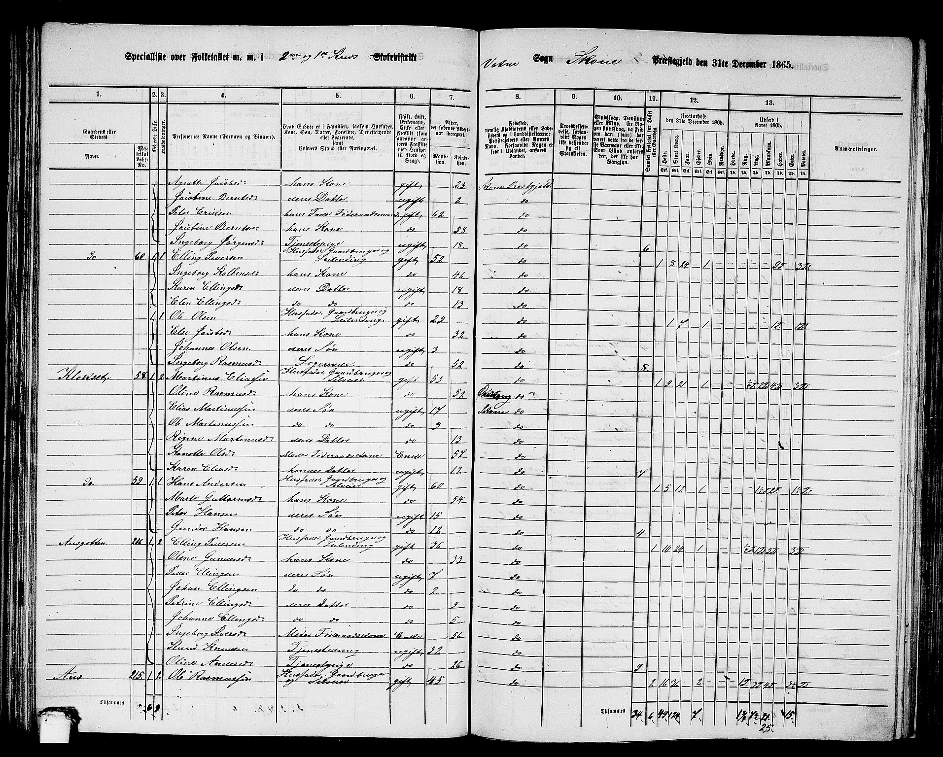 RA, 1865 census for Skodje, 1865, p. 67