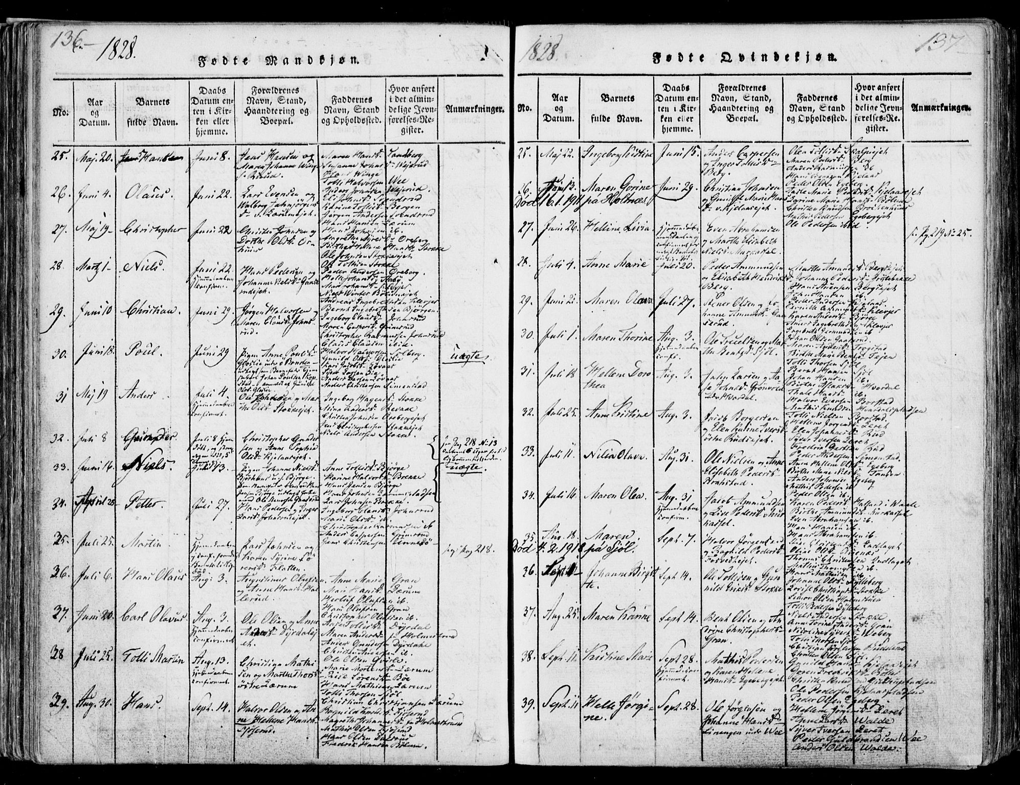 Sande Kirkebøker, SAKO/A-53/F/Fa/L0003: Parish register (official) no. 3, 1814-1847, p. 136-137