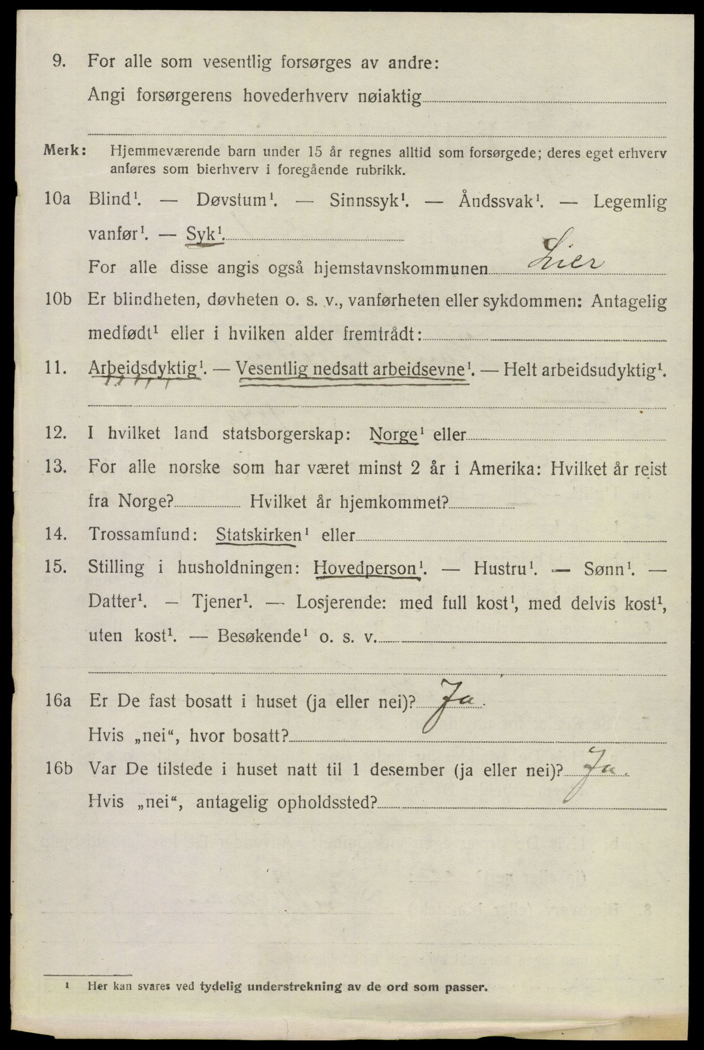 SAKO, 1920 census for Lier, 1920, p. 13703