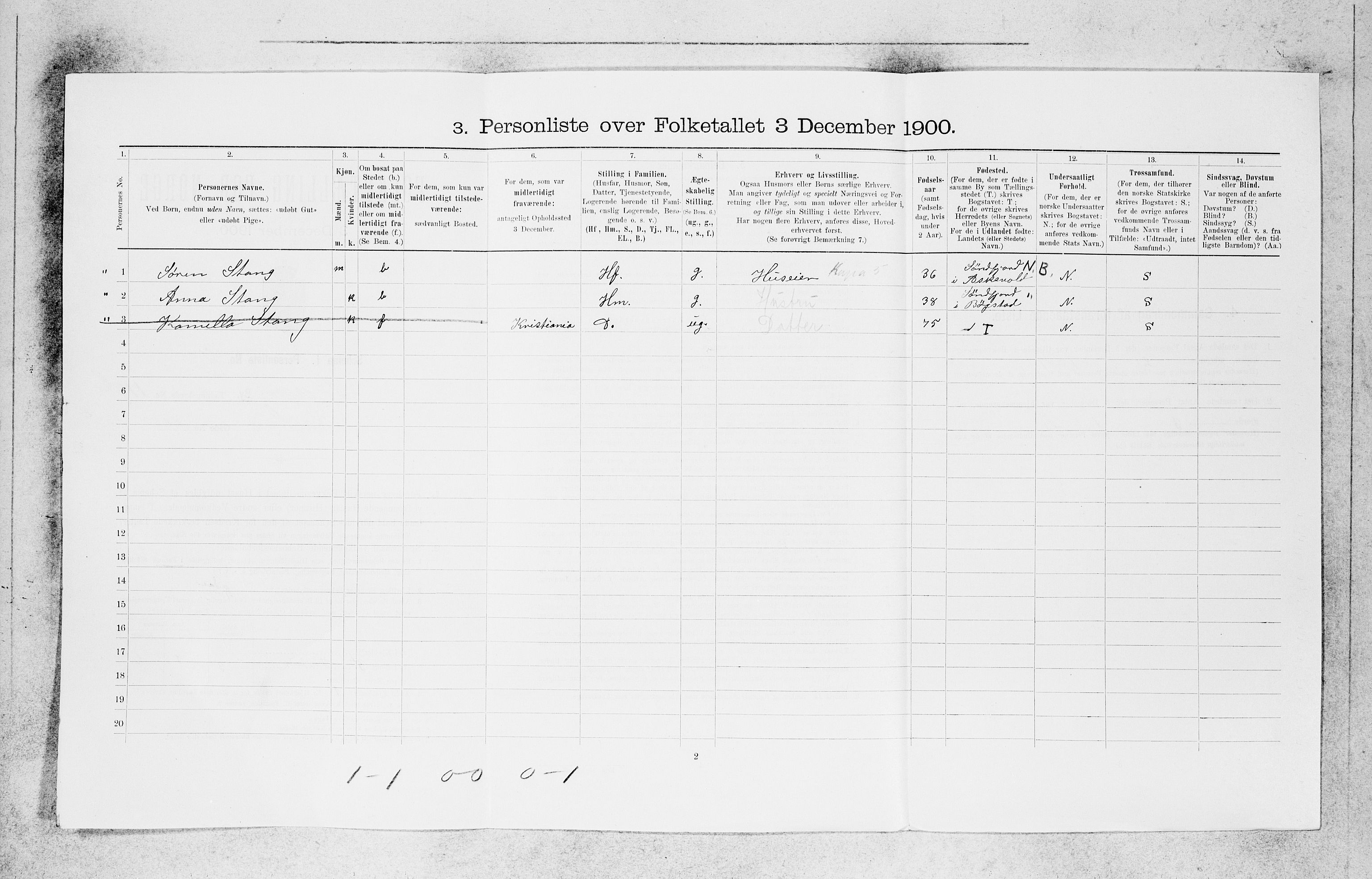 SAB, 1900 census for Bergen, 1900, p. 24933