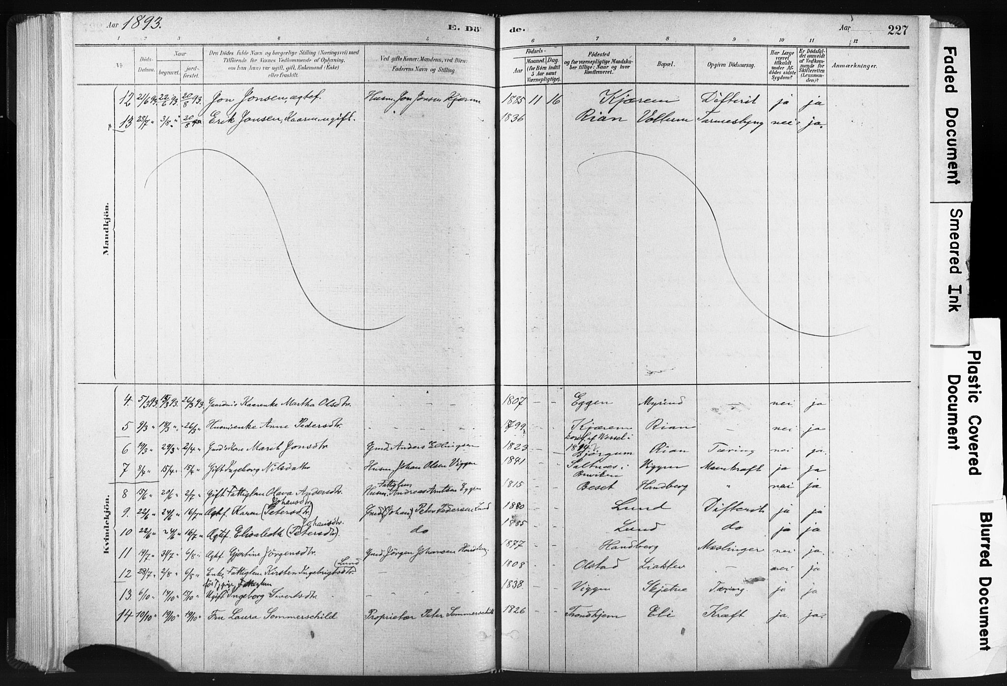 Ministerialprotokoller, klokkerbøker og fødselsregistre - Sør-Trøndelag, SAT/A-1456/665/L0773: Parish register (official) no. 665A08, 1879-1905, p. 227