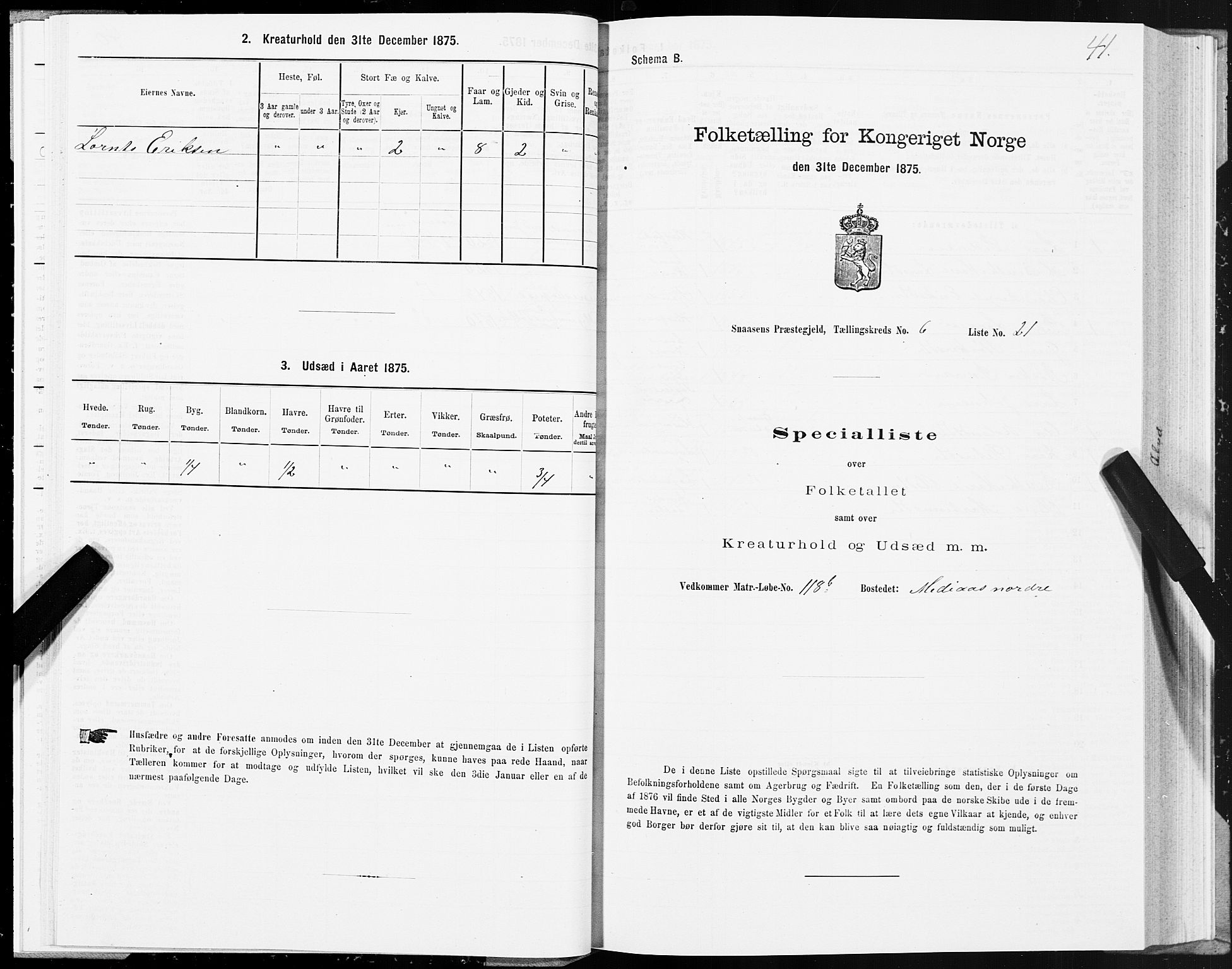 SAT, 1875 census for 1736P Snåsa, 1875, p. 3041