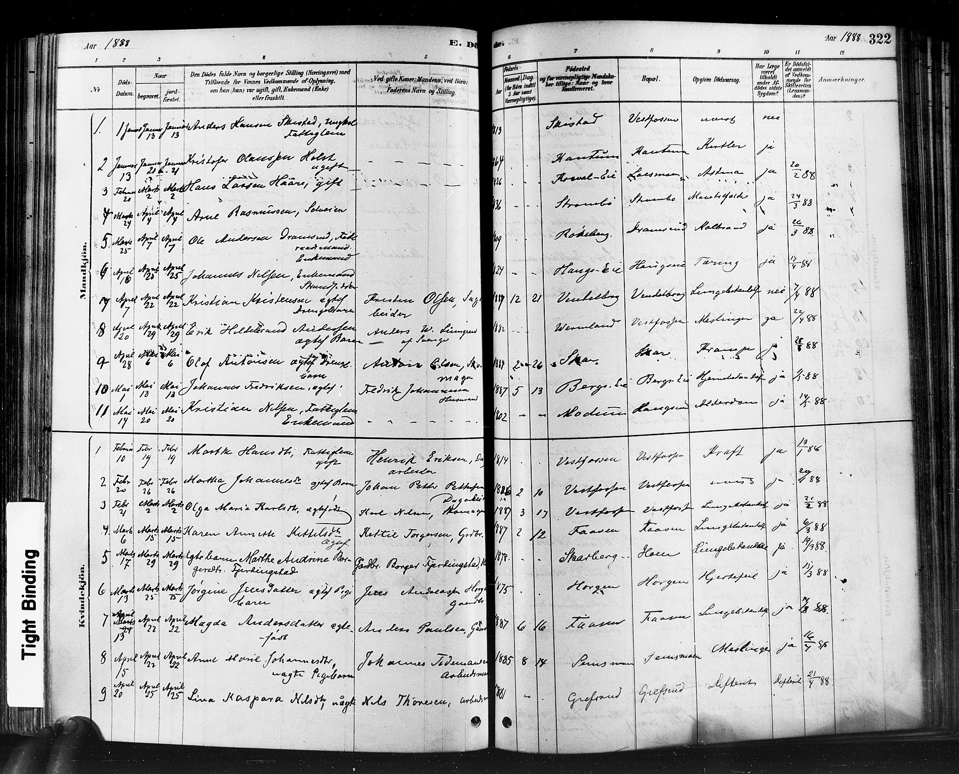 Eiker kirkebøker, SAKO/A-4/F/Fb/L0001: Parish register (official) no. II 1, 1878-1888, p. 322