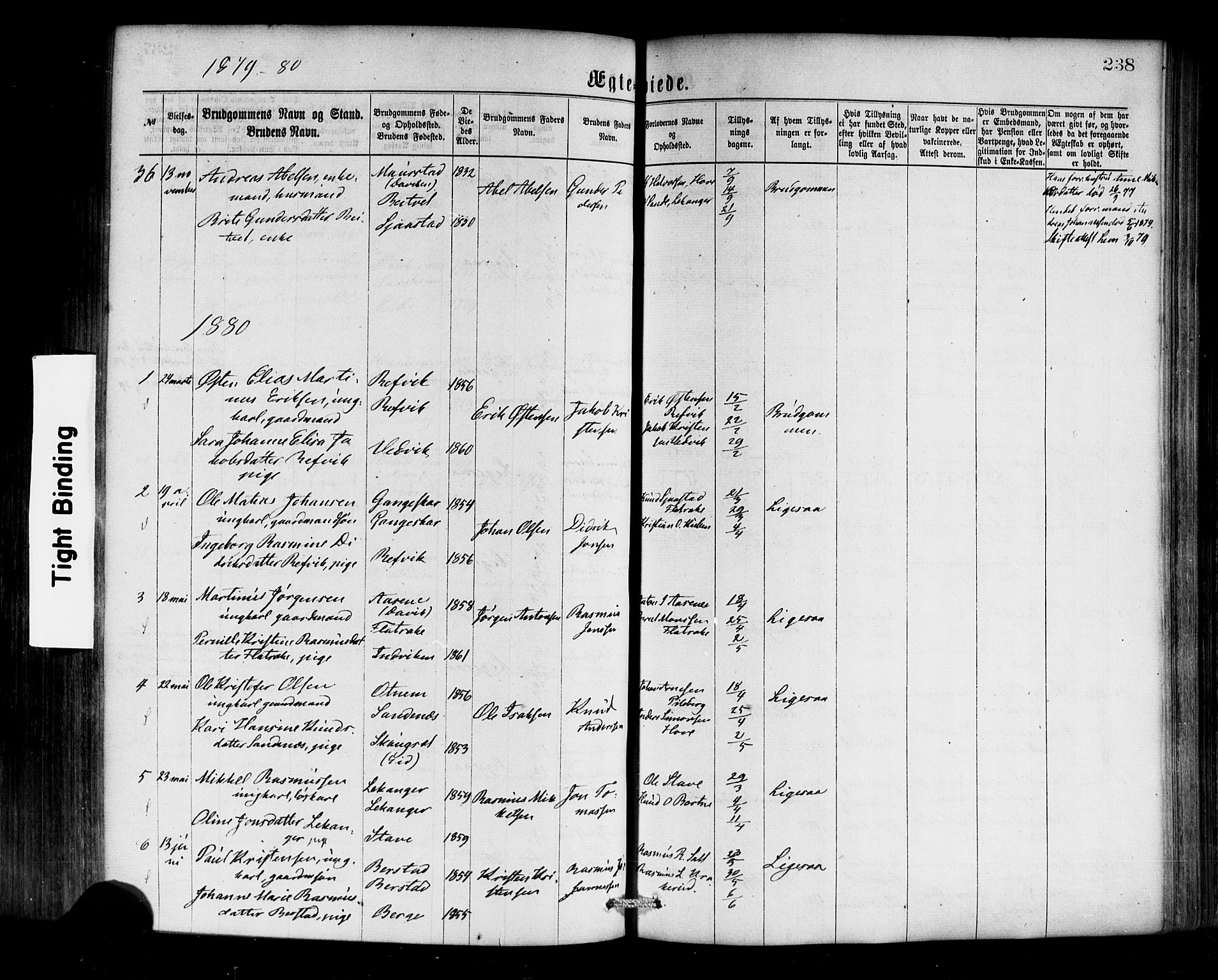 Selje sokneprestembete, SAB/A-99938/H/Ha/Haa/Haaa: Parish register (official) no. A 12, 1870-1880, p. 238