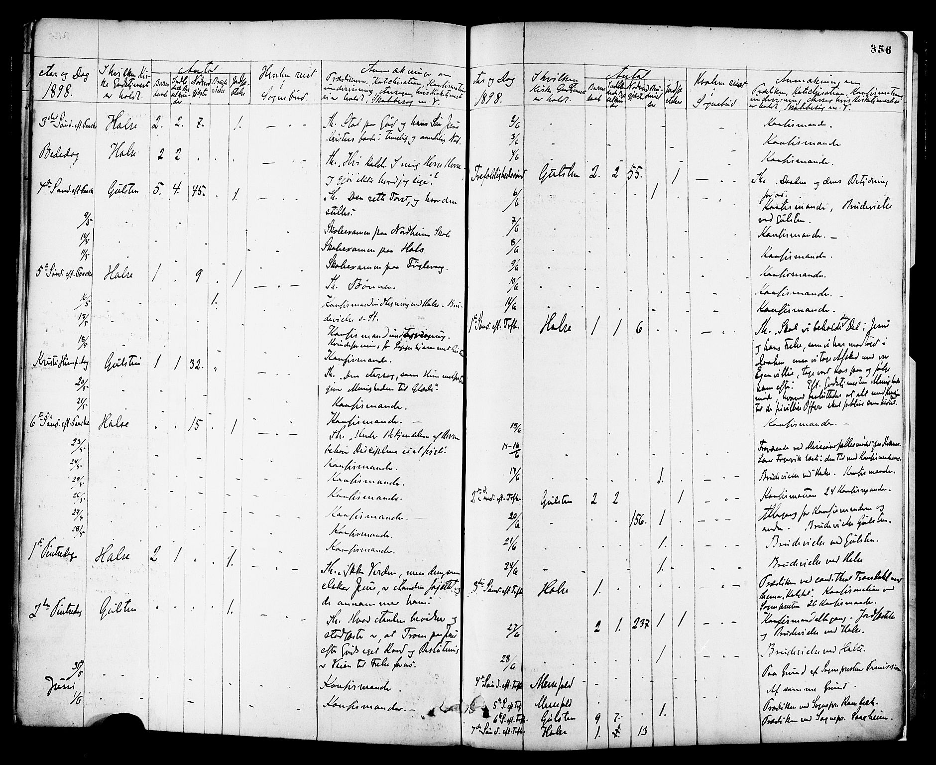 Ministerialprotokoller, klokkerbøker og fødselsregistre - Møre og Romsdal, AV/SAT-A-1454/576/L0885: Parish register (official) no. 576A03, 1880-1898, p. 356