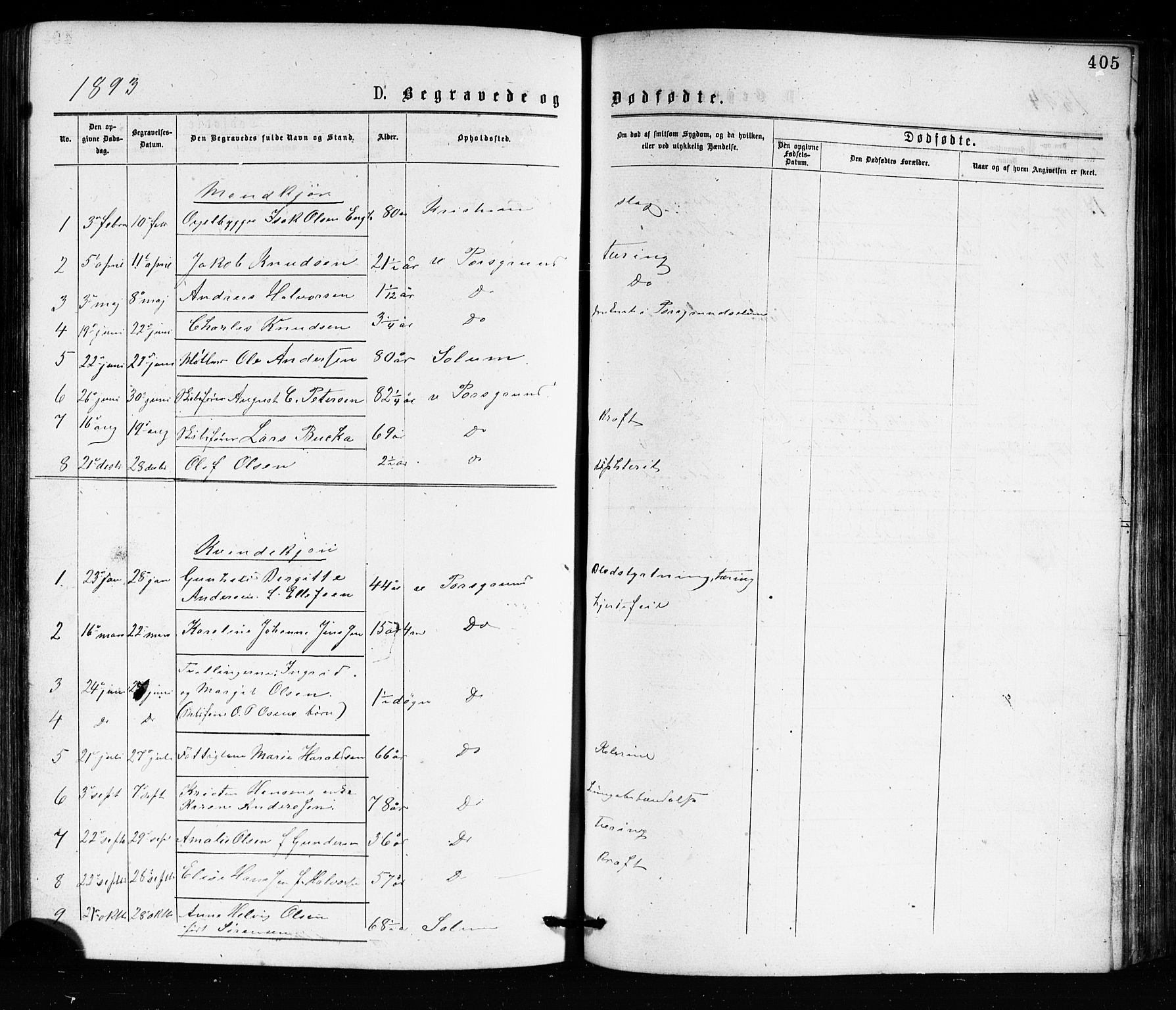 Porsgrunn kirkebøker , SAKO/A-104/G/Ga/L0003: Parish register (copy) no. I 3, 1877-1915, p. 405