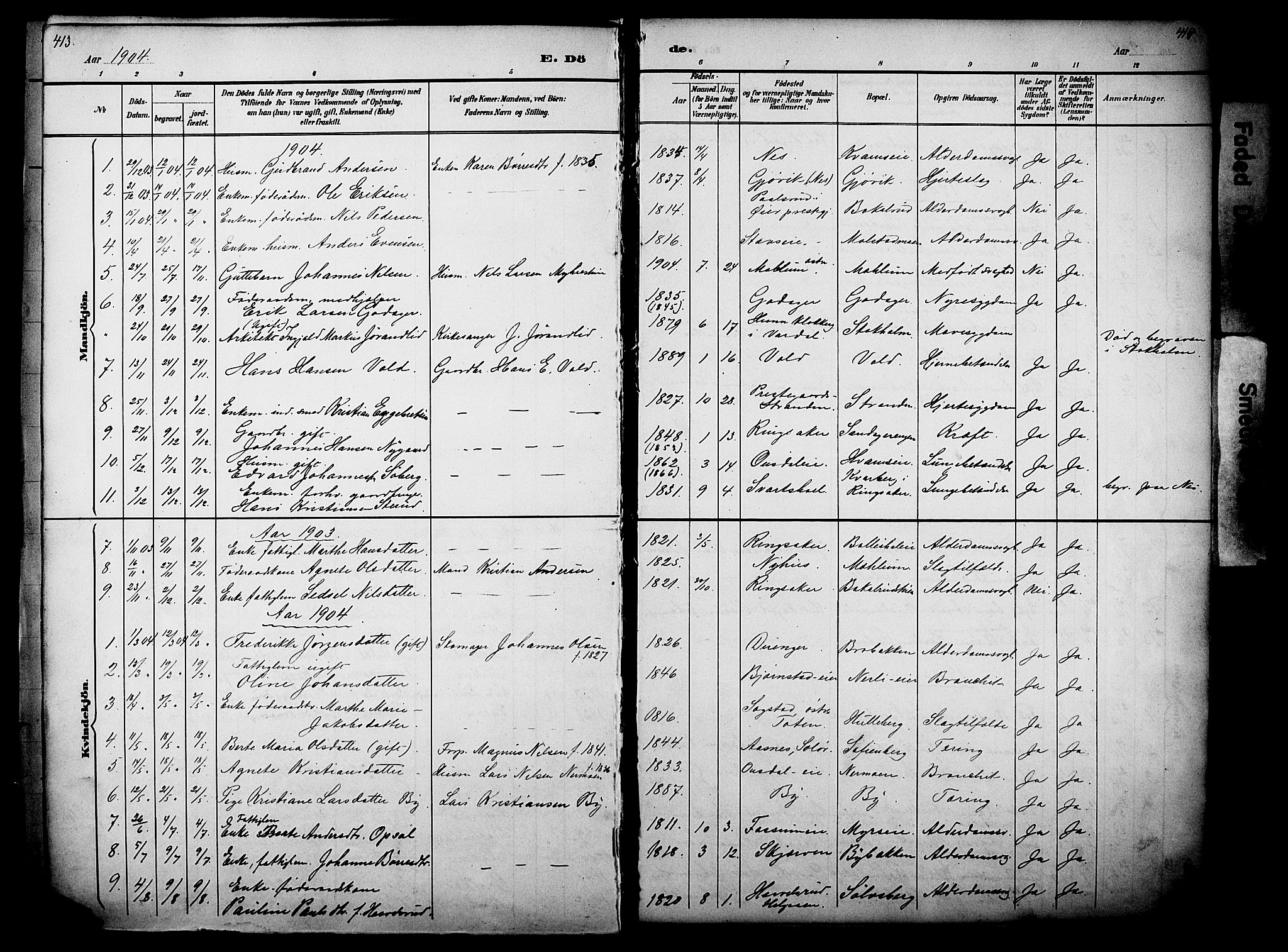 Nes prestekontor, Hedmark, SAH/PREST-020/L/La/L0006: Parish register (copy) no. 6, 1890-1932, p. 413-414