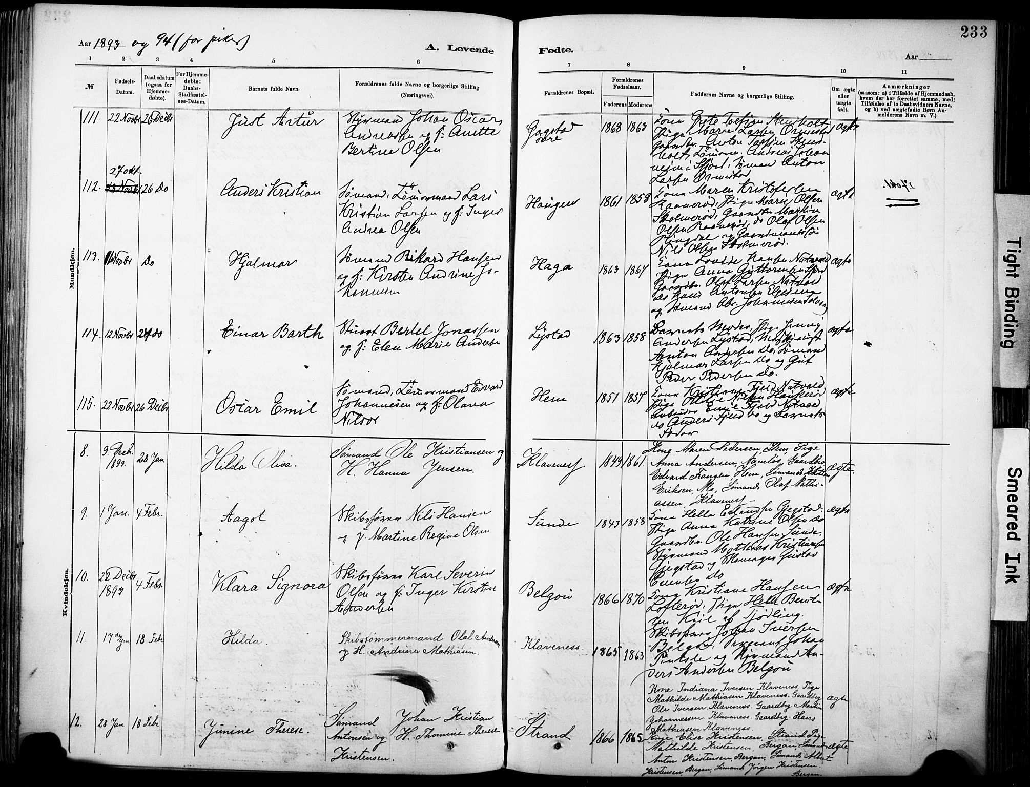 Sandar kirkebøker, SAKO/A-243/F/Fa/L0012: Parish register (official) no. 12, 1883-1895, p. 233