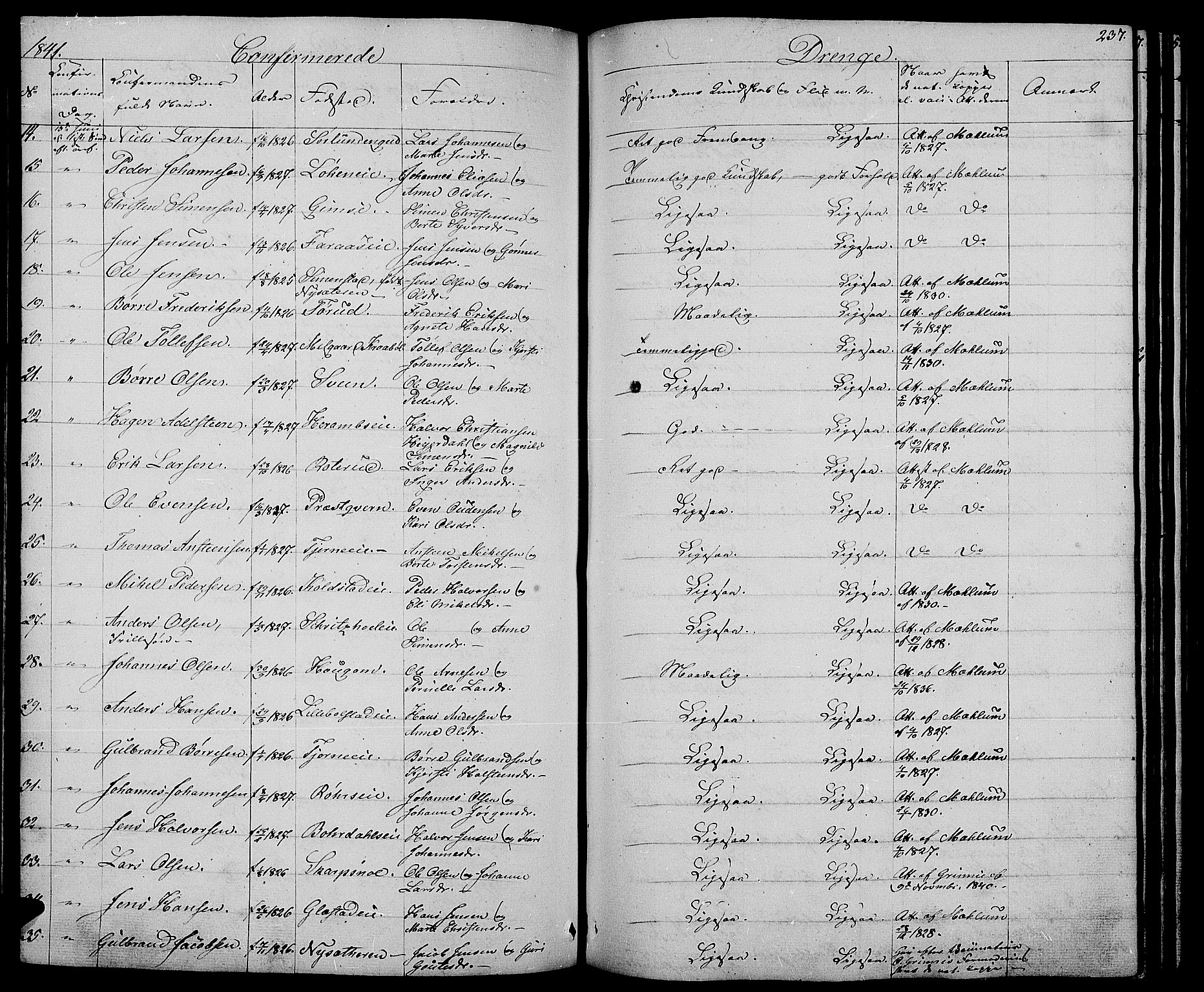 Ringsaker prestekontor, AV/SAH-PREST-014/L/La/L0005: Parish register (copy) no. 5, 1839-1850, p. 237