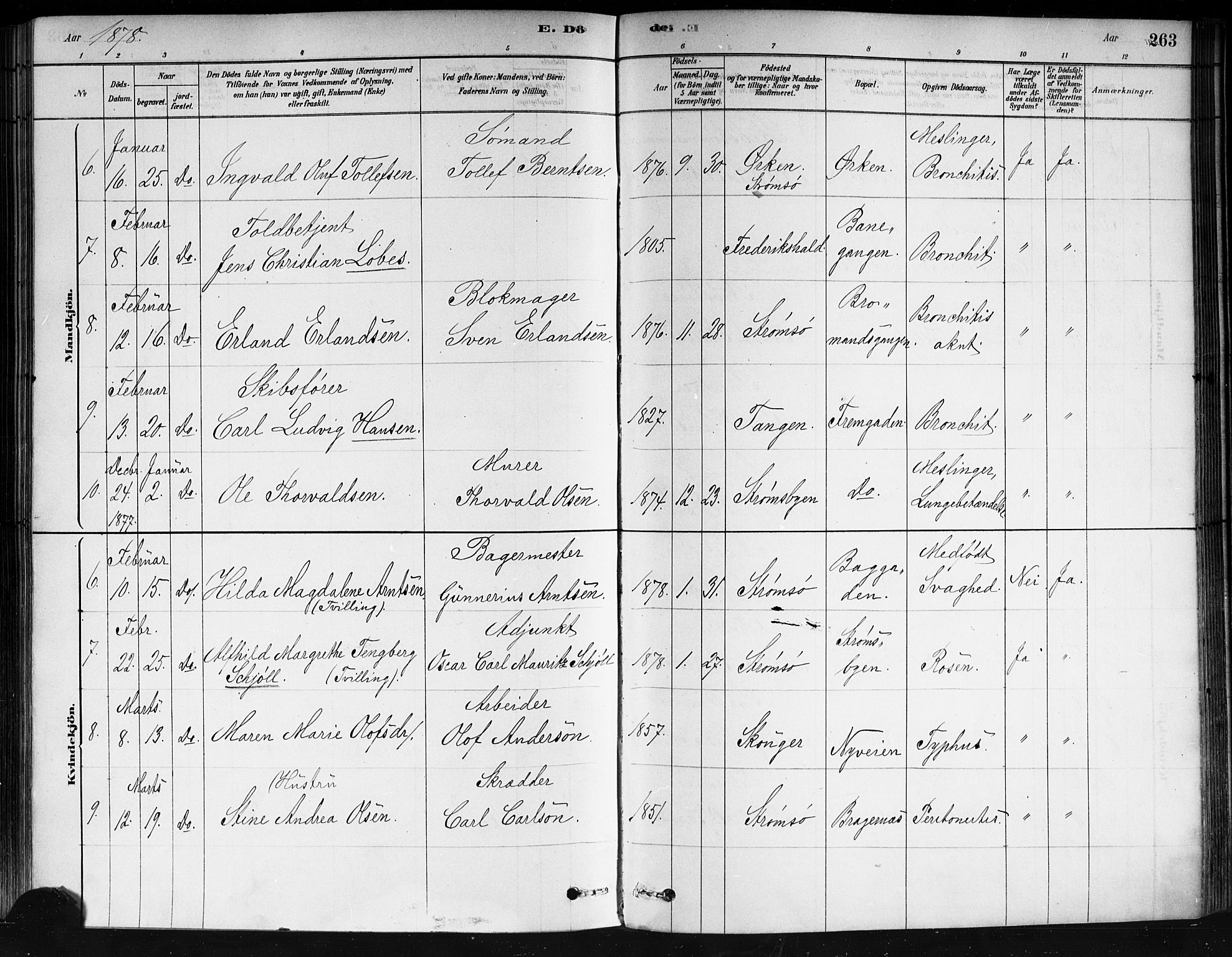 Strømsø kirkebøker, AV/SAKO-A-246/F/Fa/L0021: Parish register (official) no. I 21, 1878-1885, p. 263