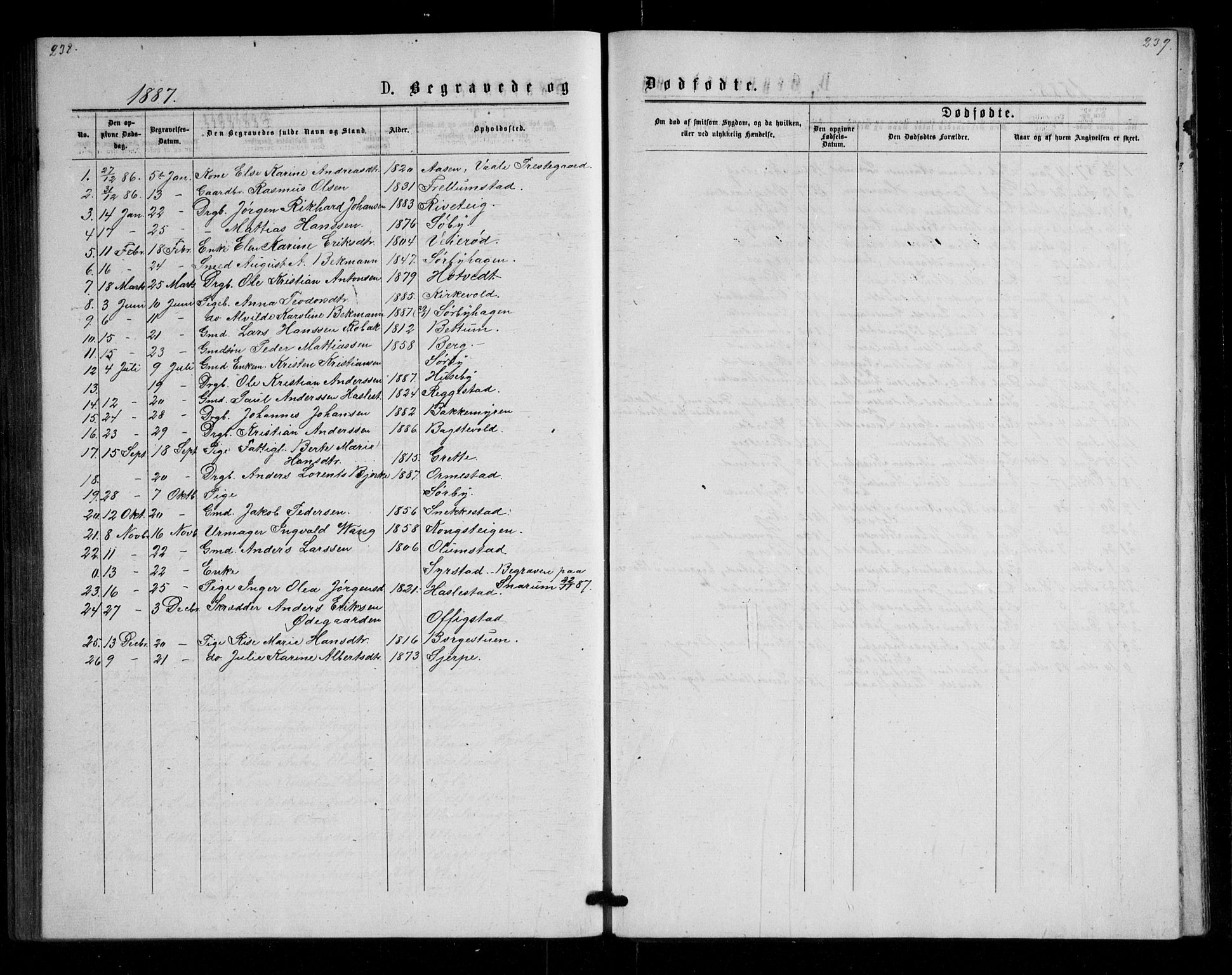 Våle kirkebøker, SAKO/A-334/G/Ga/L0004a: Parish register (copy) no. I 4, 1874-1893, p. 238-239