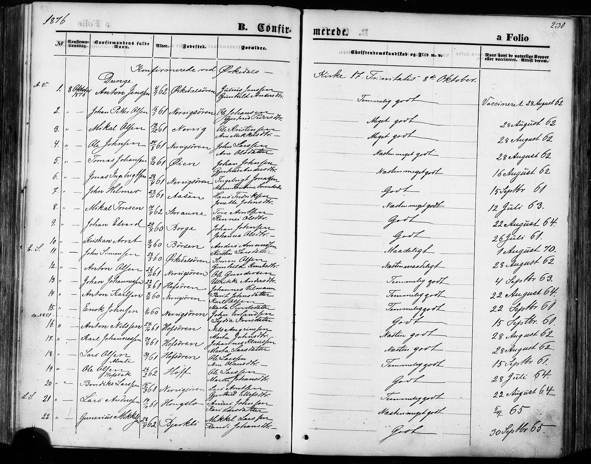 Ministerialprotokoller, klokkerbøker og fødselsregistre - Sør-Trøndelag, SAT/A-1456/668/L0807: Parish register (official) no. 668A07, 1870-1880, p. 230