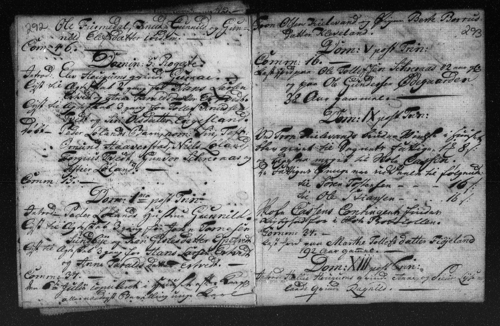 Herefoss sokneprestkontor, AV/SAK-1111-0019/F/Fa/Fab/L0001: Parish register (official) no. A 1, 1704-1779, p. 292-293