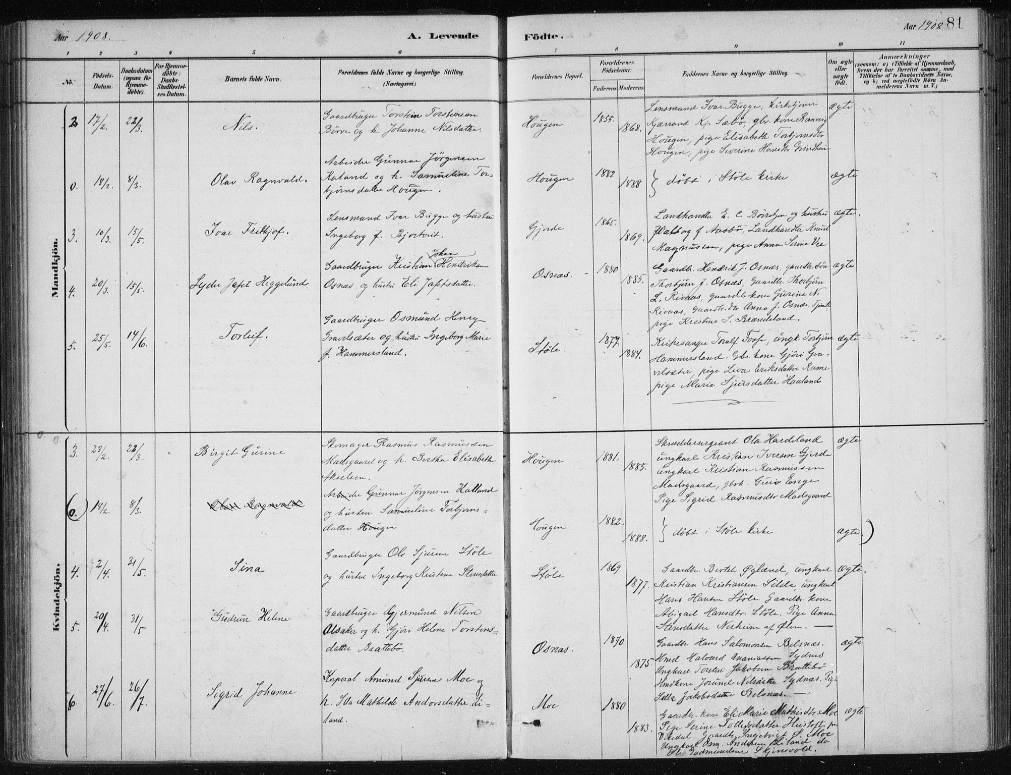 Etne sokneprestembete, AV/SAB-A-75001/H/Haa: Parish register (official) no. C  1, 1879-1919, p. 81