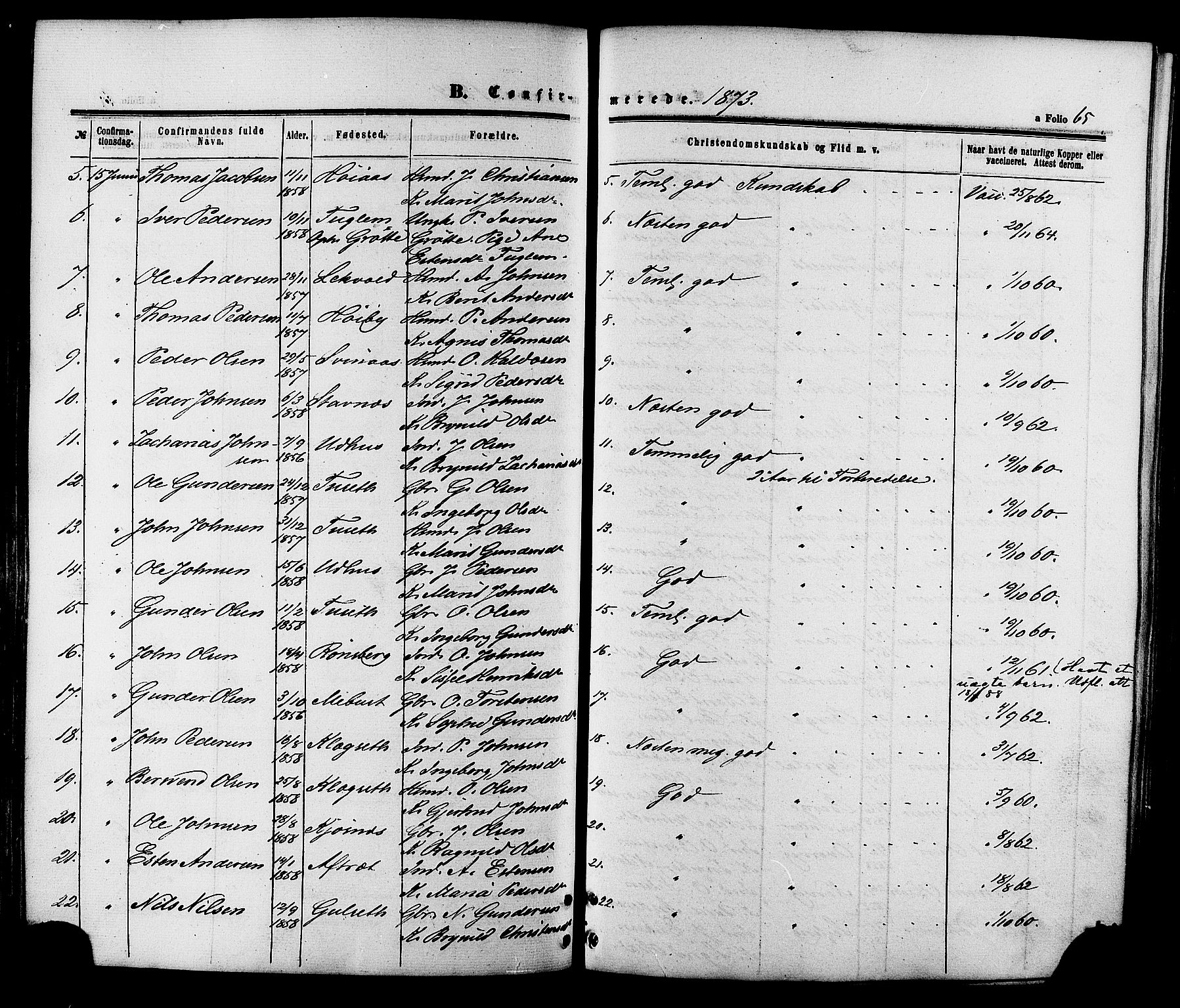 Ministerialprotokoller, klokkerbøker og fødselsregistre - Sør-Trøndelag, SAT/A-1456/695/L1147: Parish register (official) no. 695A07, 1860-1877, p. 65