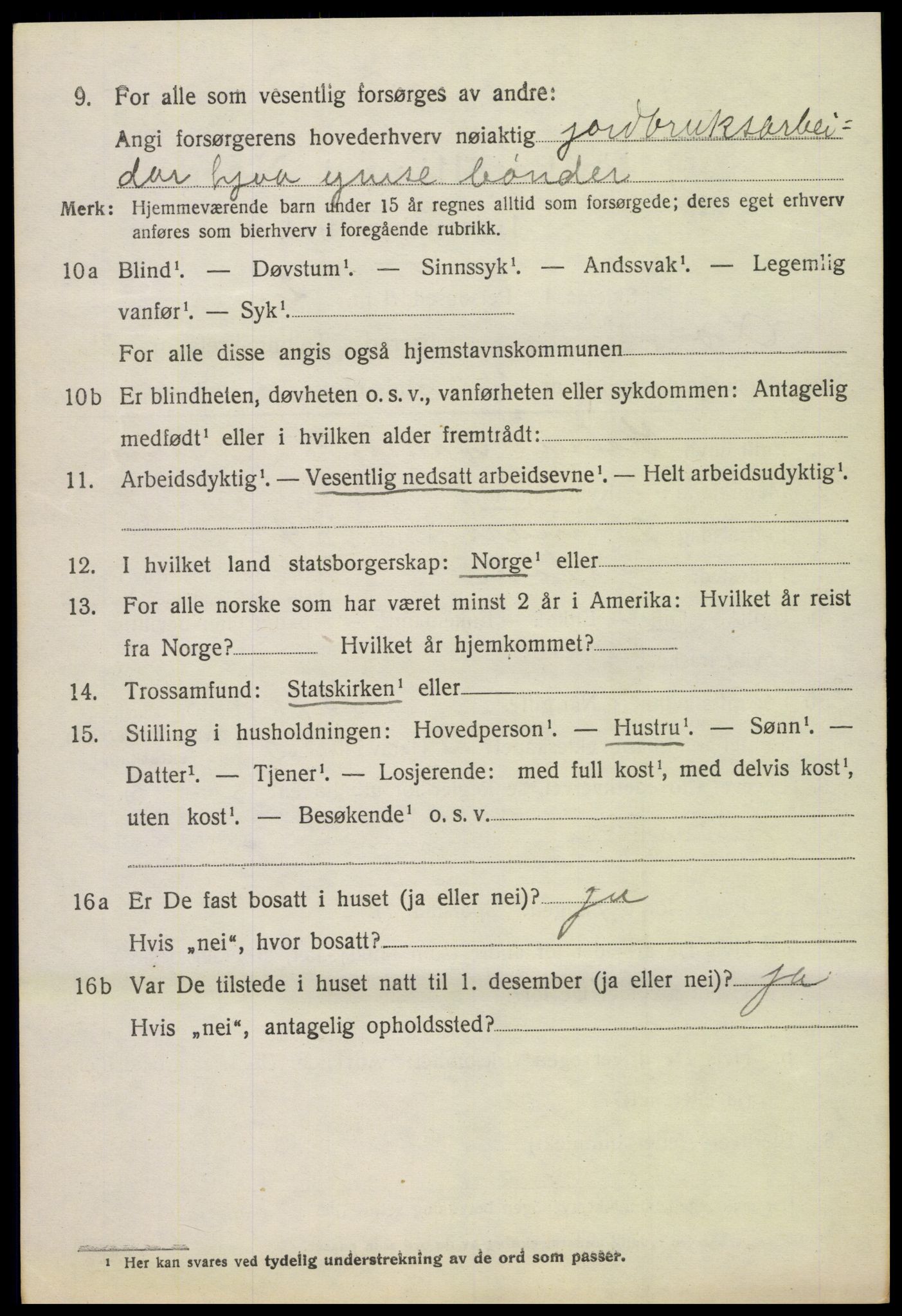 SAH, 1920 census for Lom, 1920, p. 3409