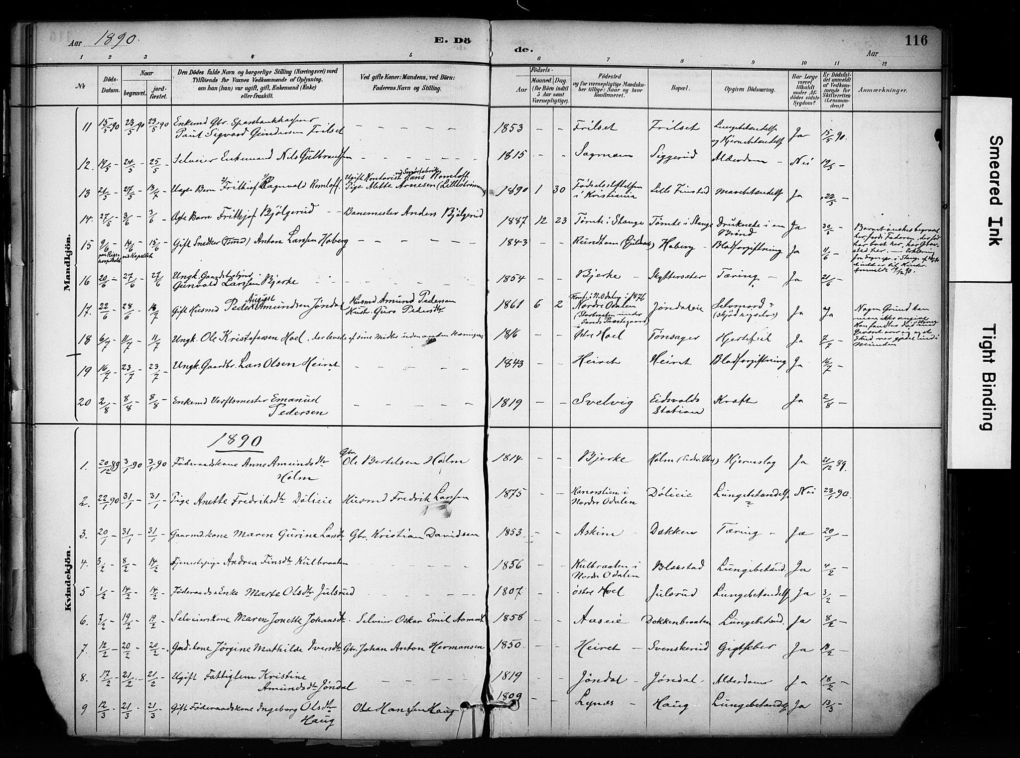 Eidsvoll prestekontor Kirkebøker, SAO/A-10888/F/Fa/L0003: Parish register (official) no. I 3, 1882-1895, p. 116