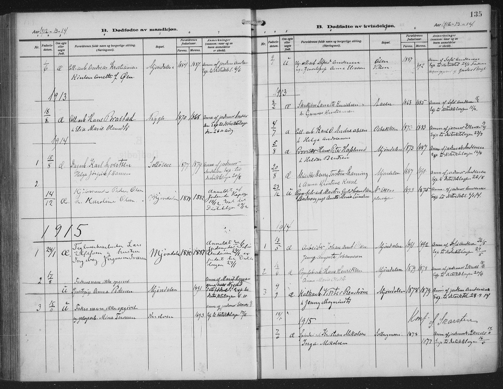 Nedre Eiker kirkebøker, SAKO/A-612/F/Fa/L0007: Parish register (official) no. 7, 1912-1918, p. 135