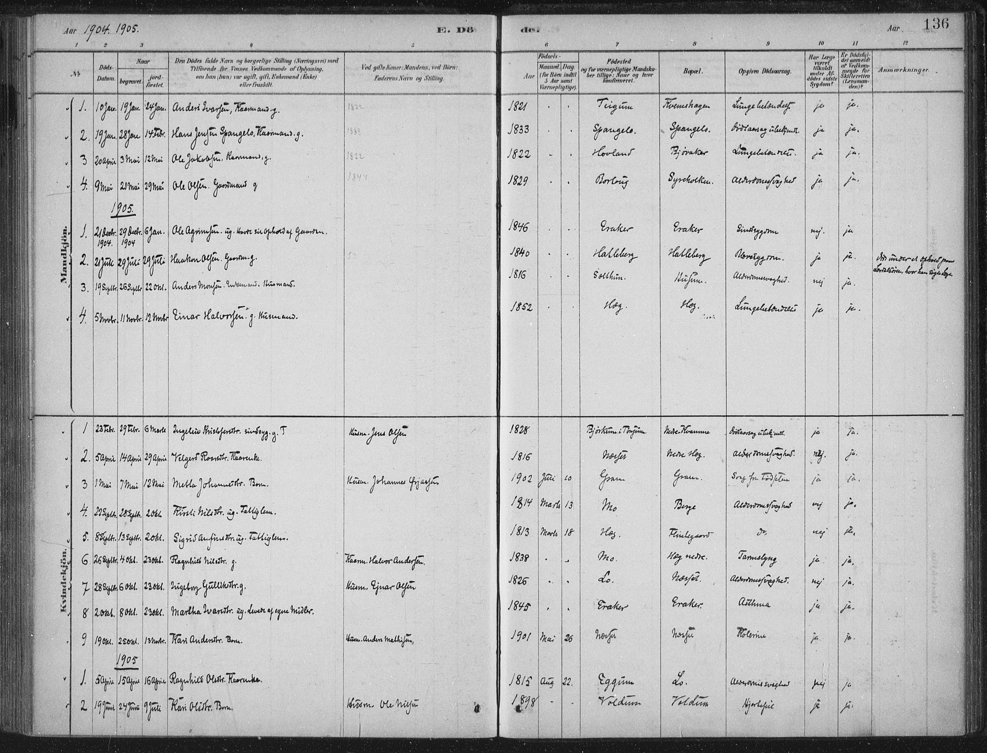 Lærdal sokneprestembete, SAB/A-81201: Parish register (official) no. C  1, 1878-1911, p. 136