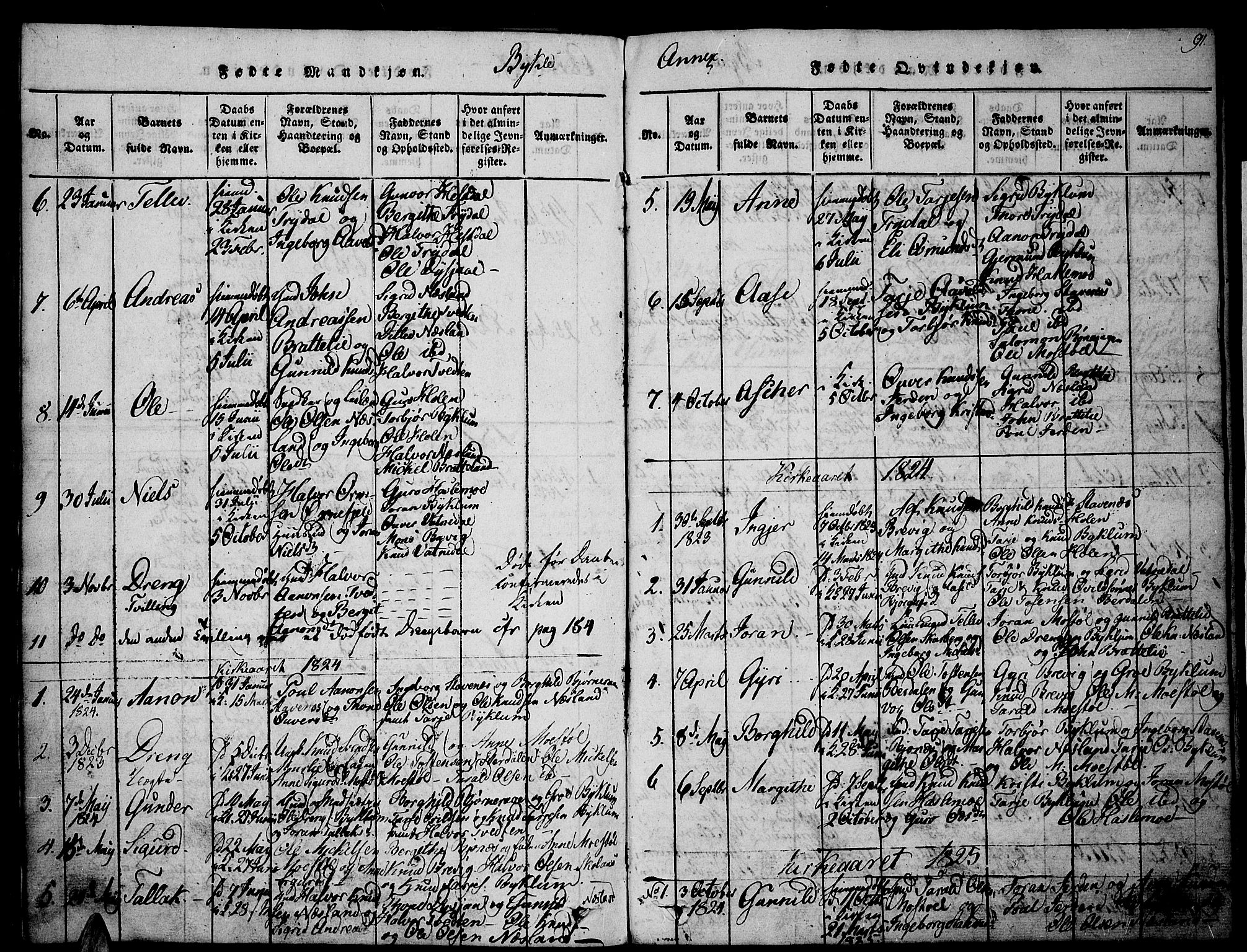 Valle sokneprestkontor, SAK/1111-0044/F/Fa/Fac/L0005: Parish register (official) no. A 5 /3, 1817-1830, p. 91