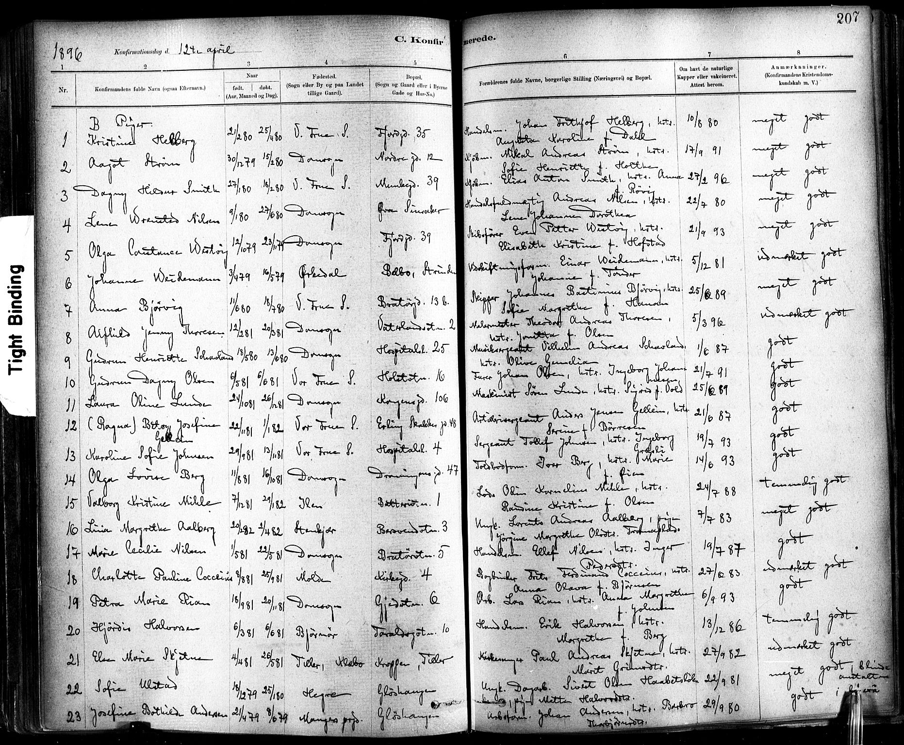 Ministerialprotokoller, klokkerbøker og fødselsregistre - Sør-Trøndelag, SAT/A-1456/602/L0119: Parish register (official) no. 602A17, 1880-1901, p. 207