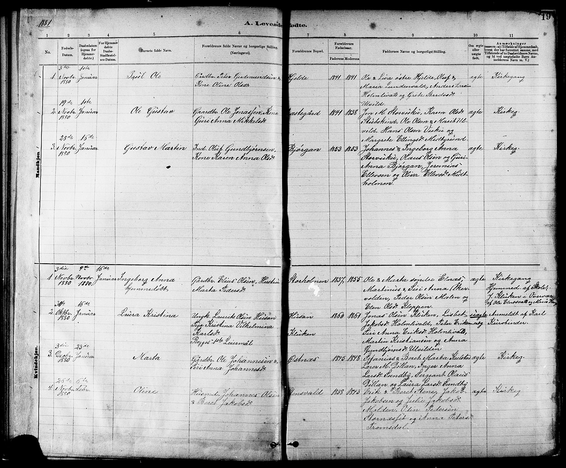 Ministerialprotokoller, klokkerbøker og fødselsregistre - Nord-Trøndelag, SAT/A-1458/724/L0267: Parish register (copy) no. 724C03, 1879-1898, p. 19