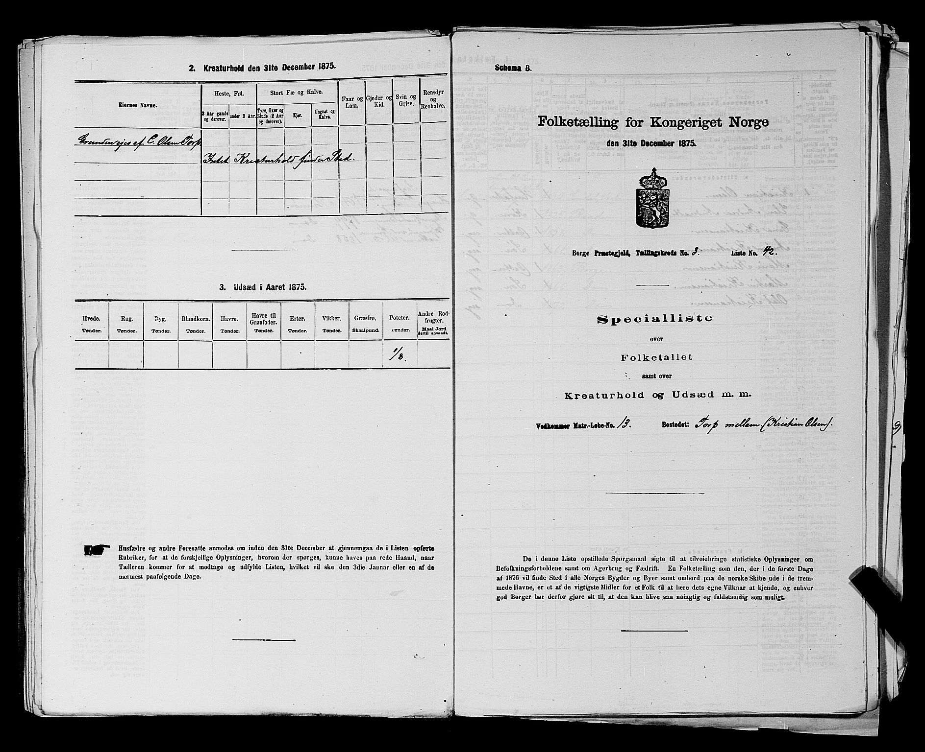 RA, 1875 census for 0113P Borge, 1875, p. 473