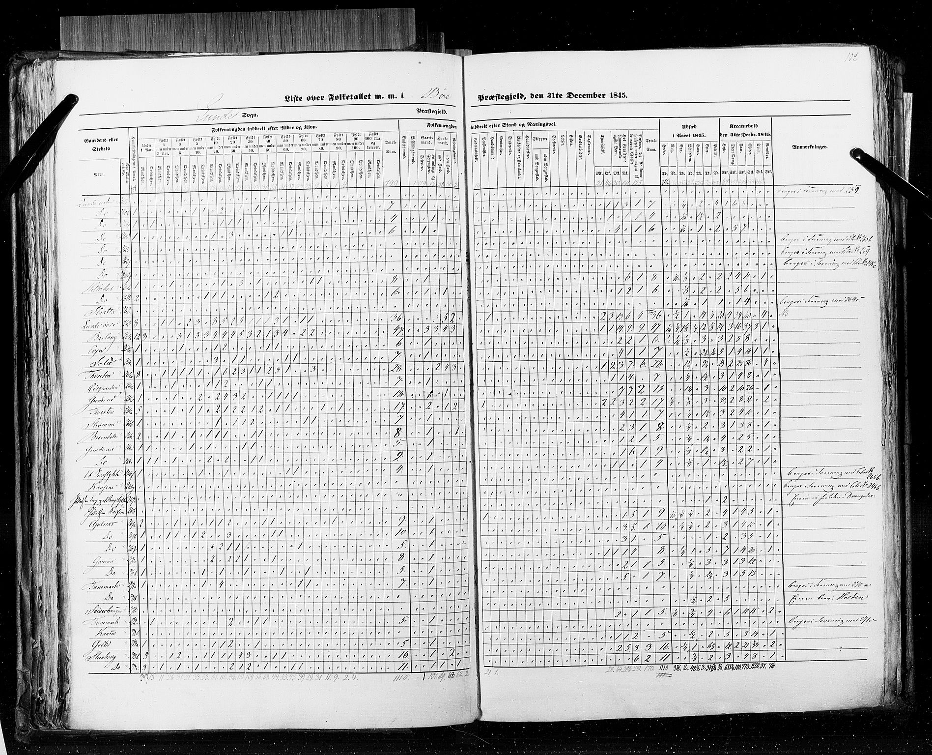 RA, Census 1845, vol. 5: Bratsberg amt og Nedenes og Råbyggelaget amt, 1845, p. 102