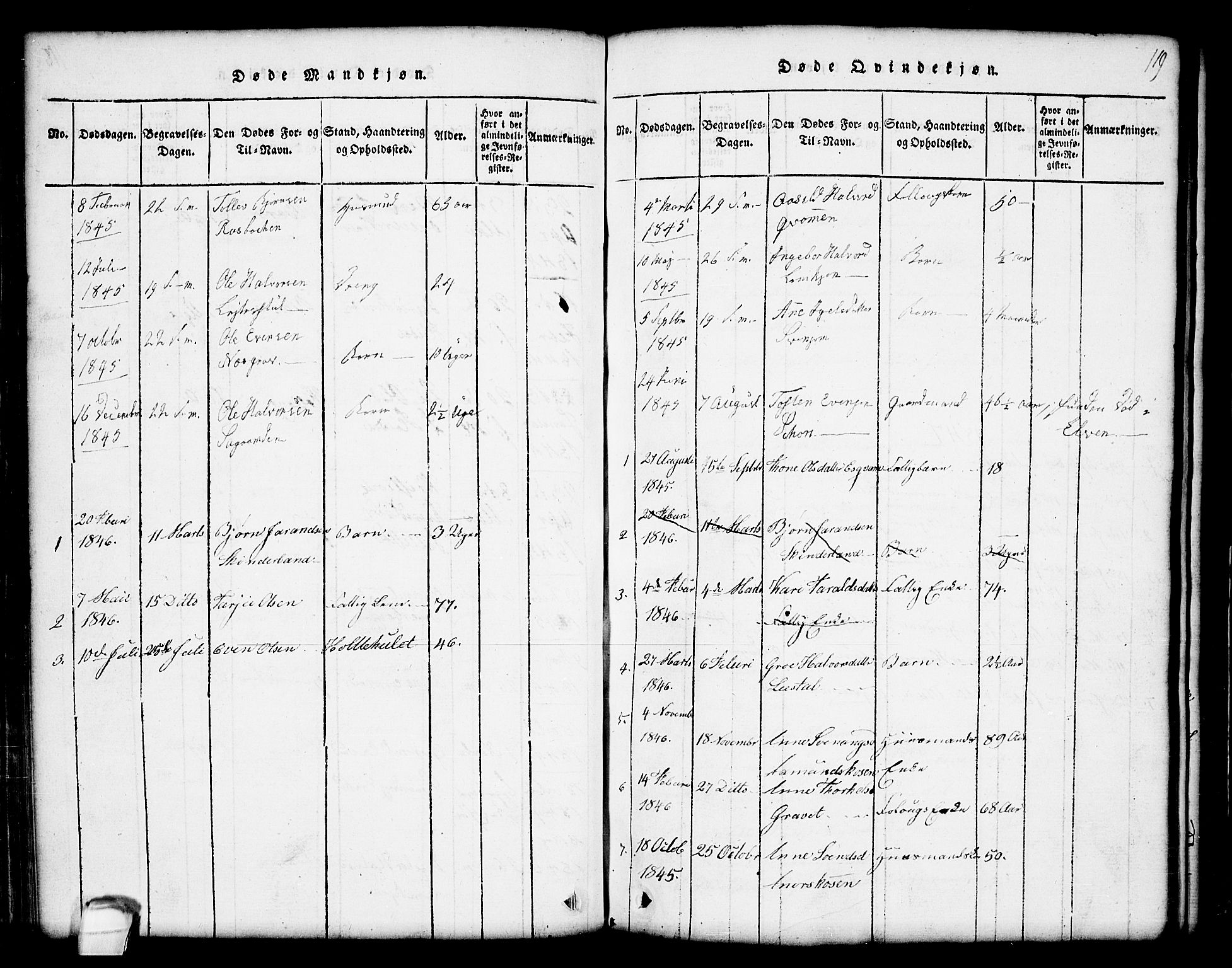 Seljord kirkebøker, SAKO/A-20/G/Gc/L0001: Parish register (copy) no. III 1, 1815-1849, p. 119